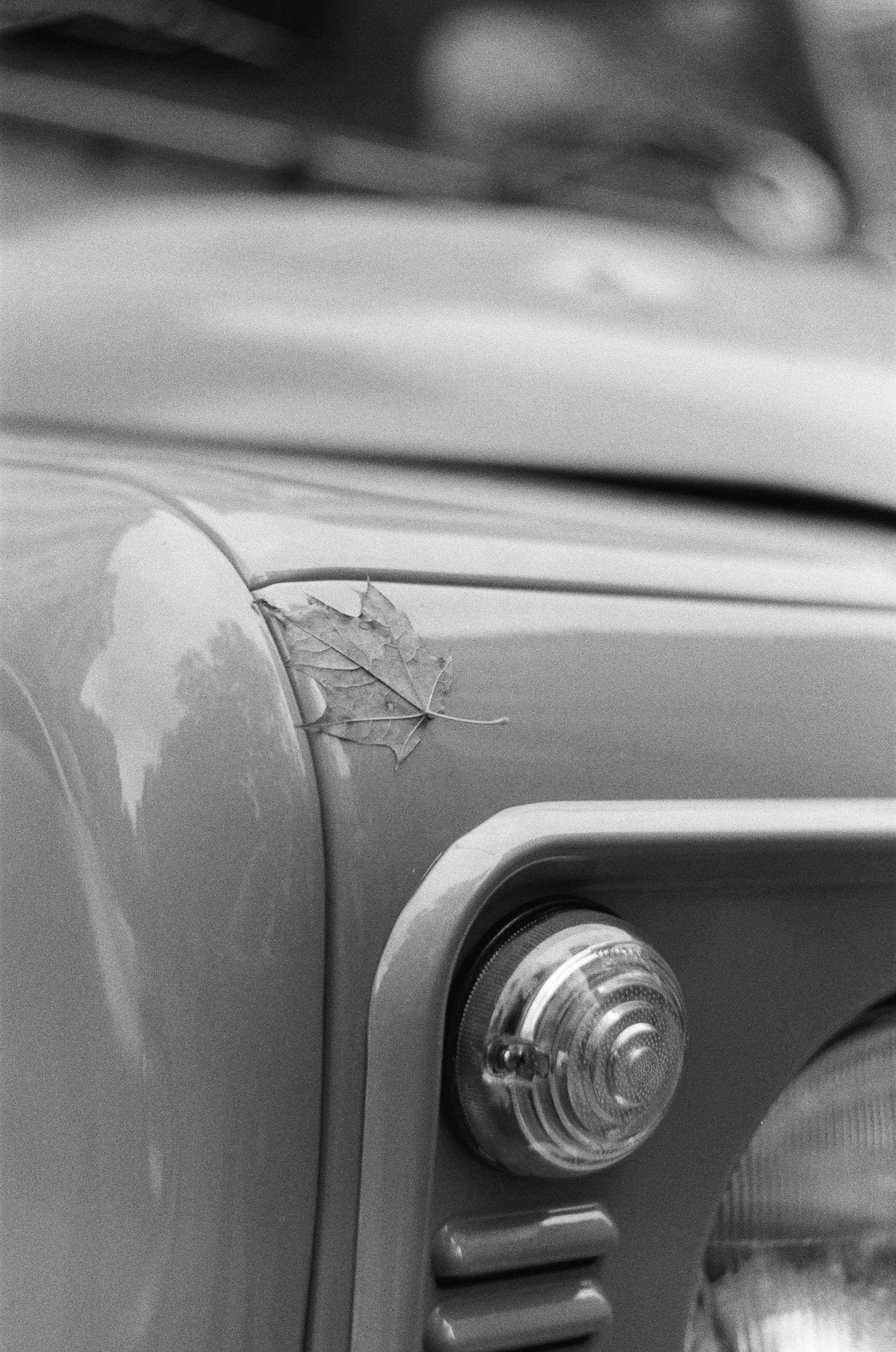 AgfaPhoto APX 400 BW-Film (Rollfilm Typ 135, 36 Aufnahmen)