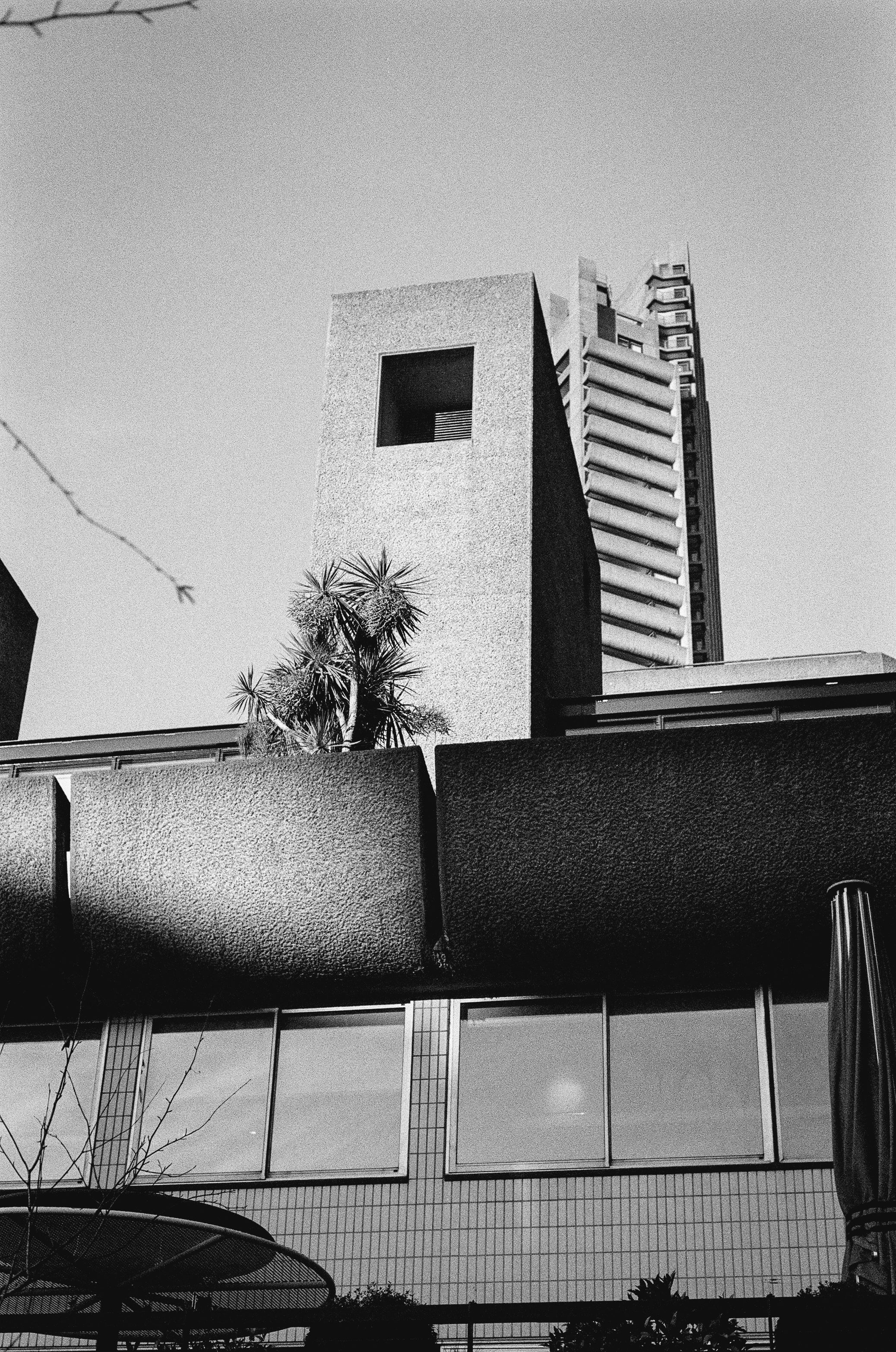 Monochrome cityscape shot on black and white film