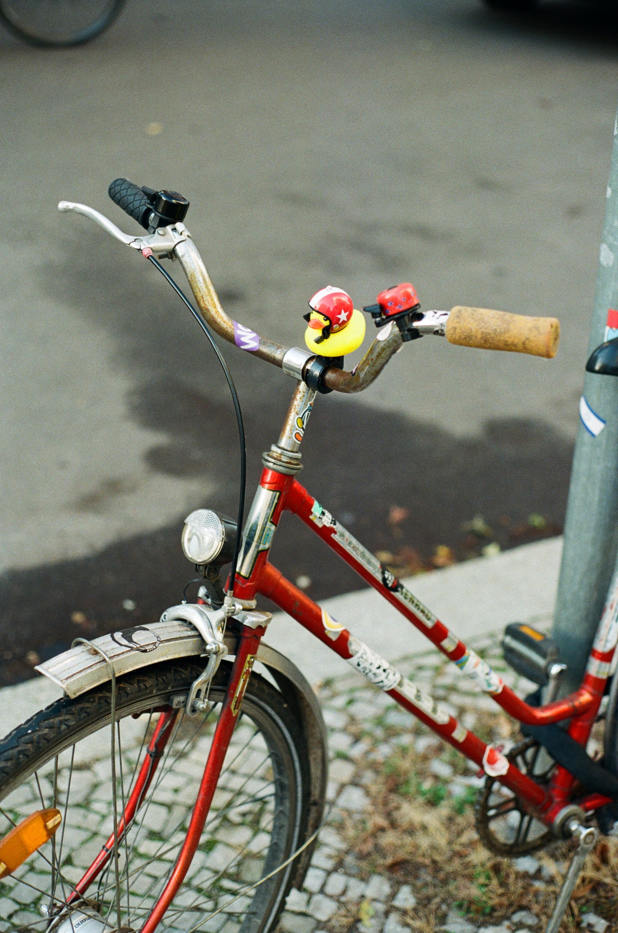C41 color film shot with fine grain
