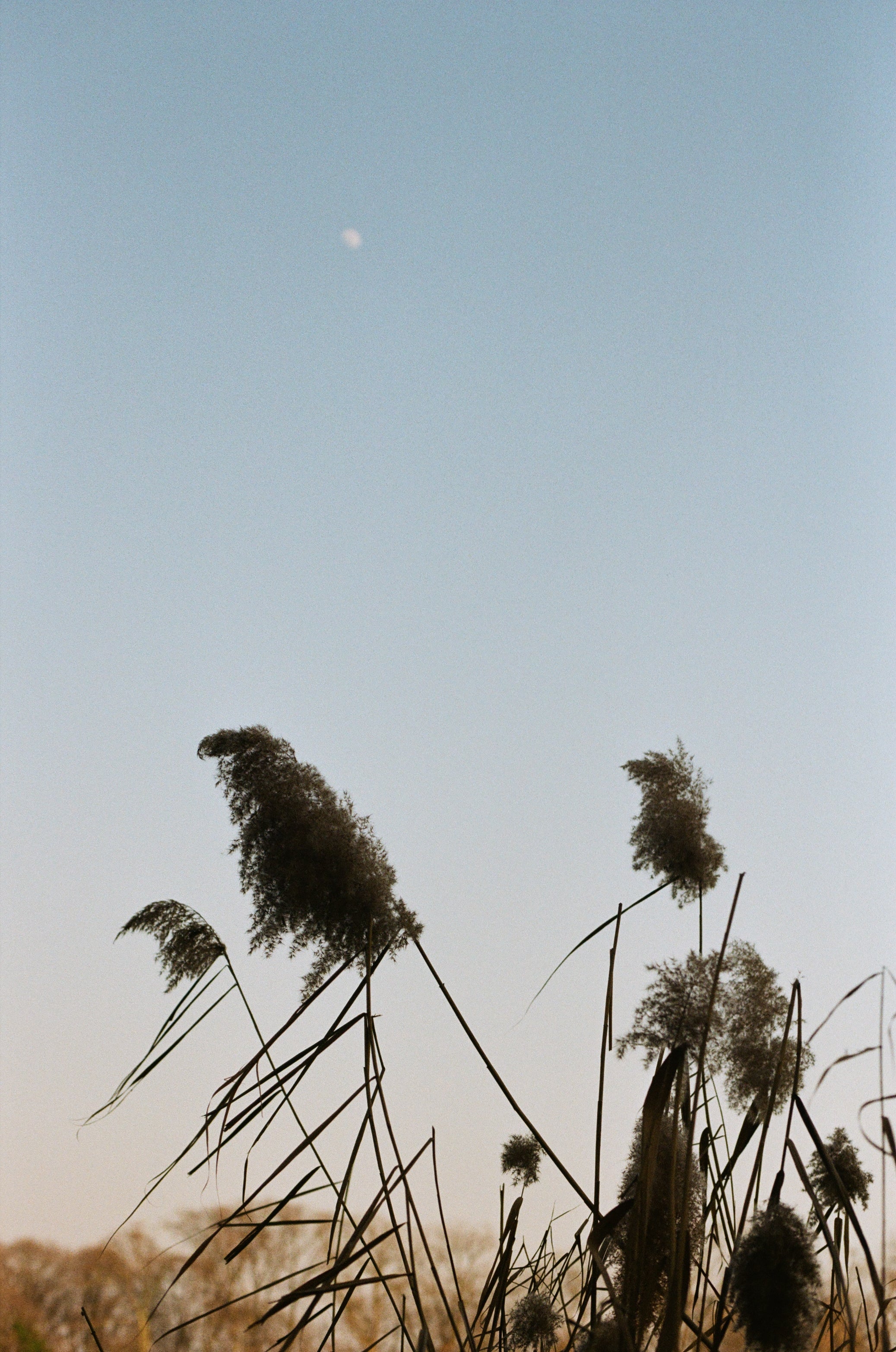 Fuji-Film 200 (135er-Film, 36 Aufnahmen)
