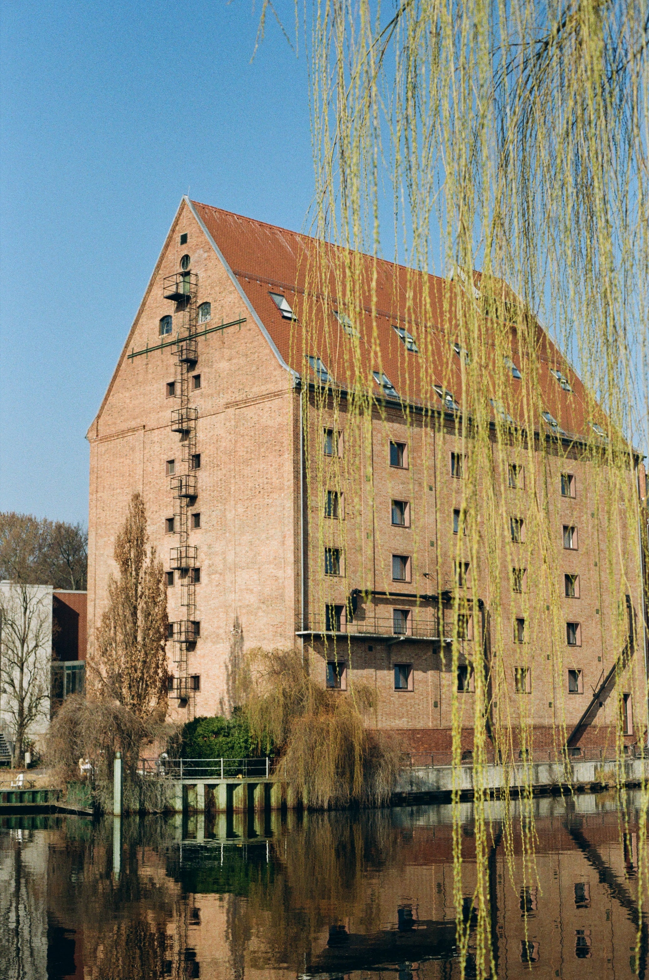 Fuji-Film 200 (135er-Film, 36 Aufnahmen)