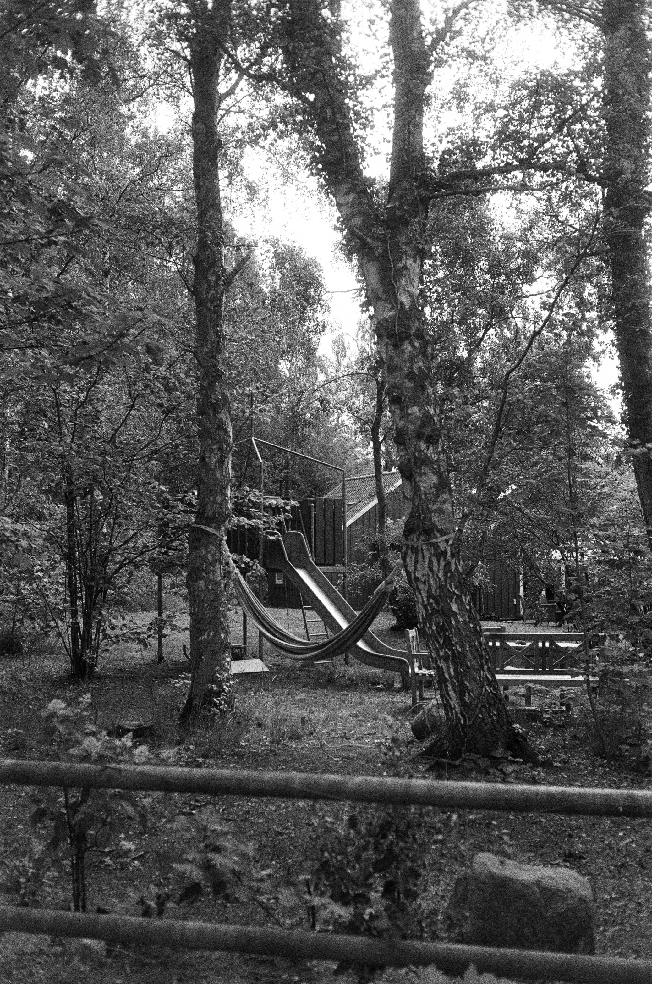 Kodak TX 400 SW-Film (35-mm-Rollfilm, 36 Aufnahmen)