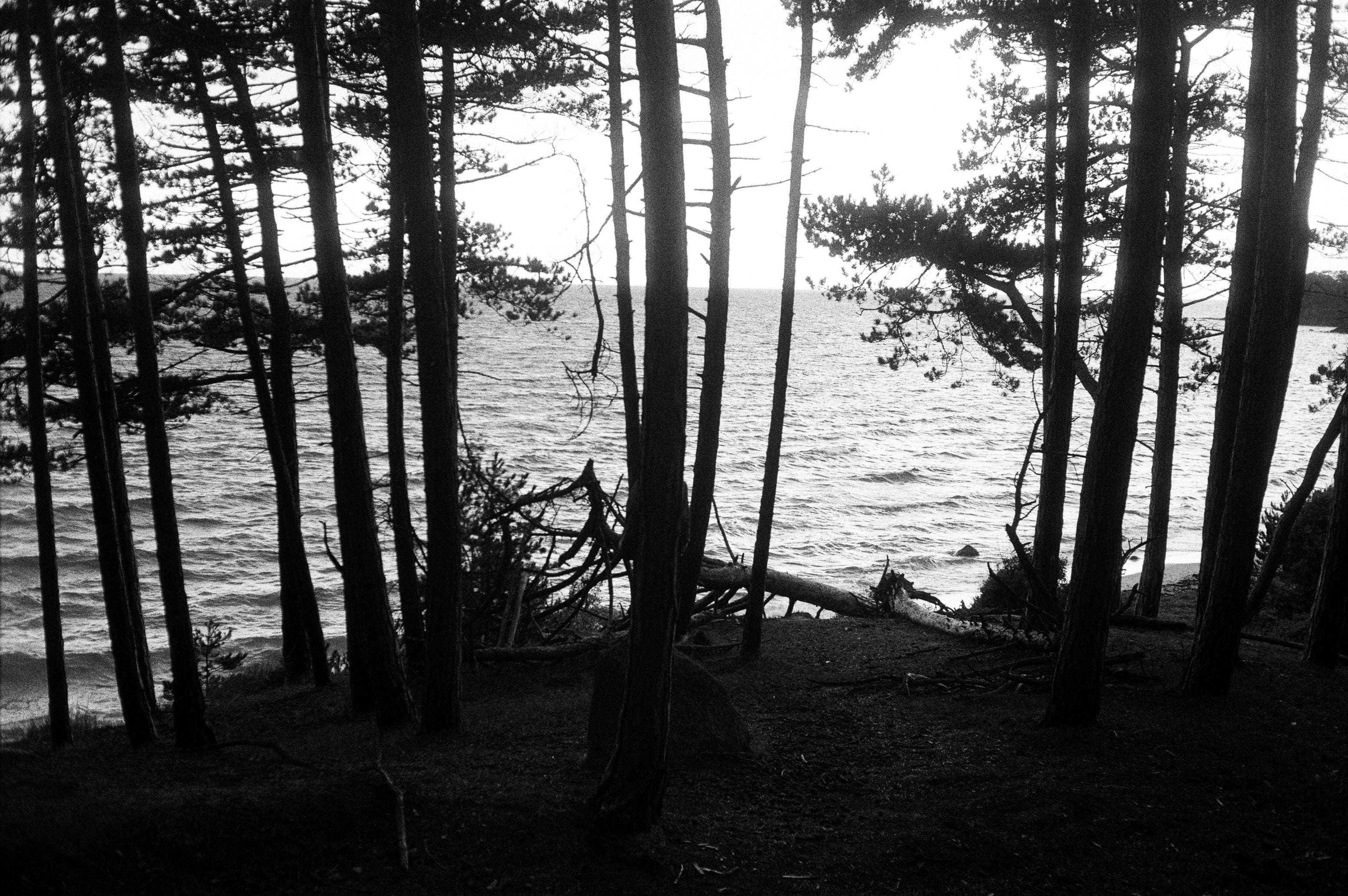 Kodak TX 400 SW-Film (35-mm-Rollfilm, 36 Aufnahmen)