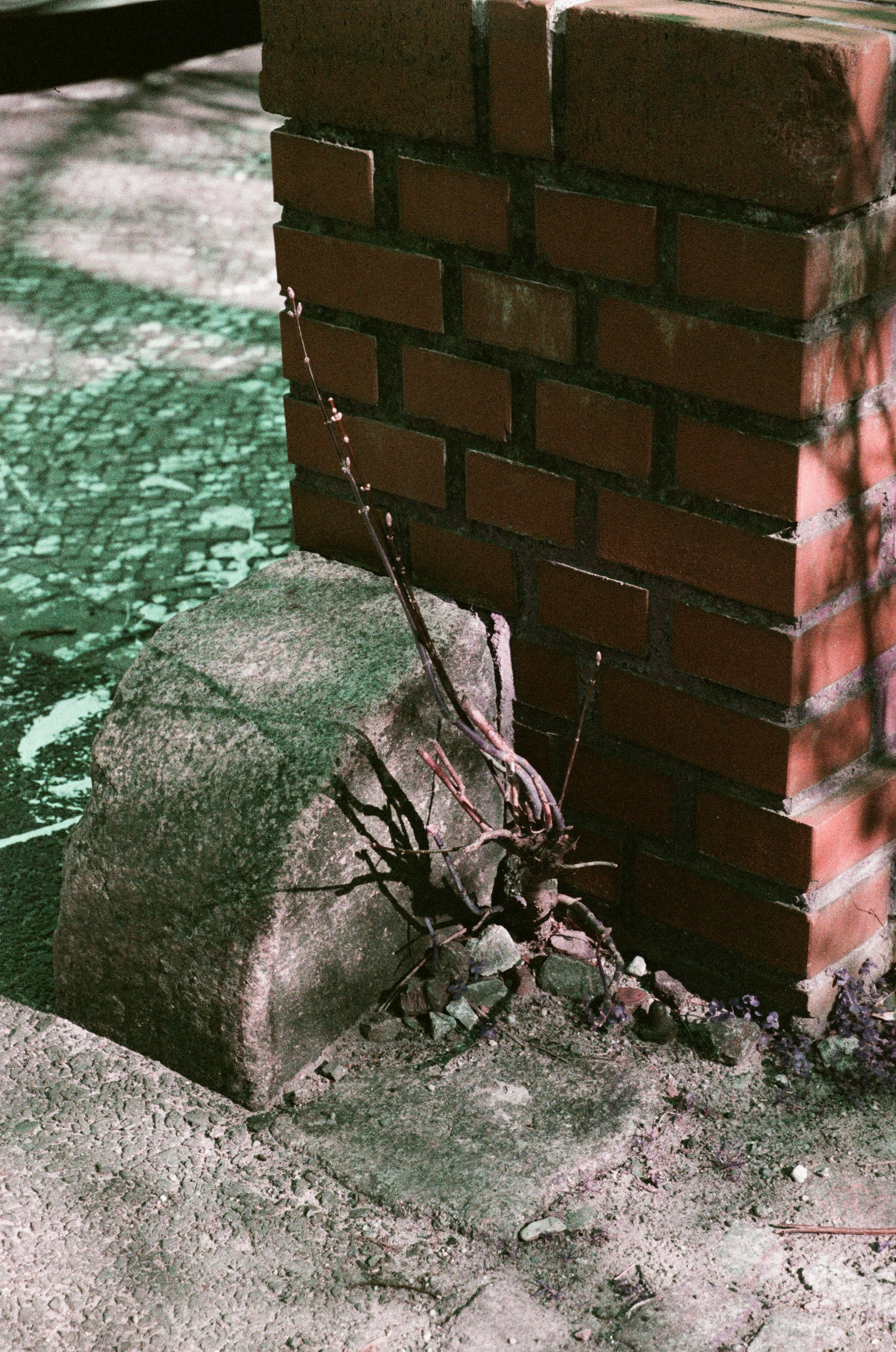 street elements captured on C41 color film