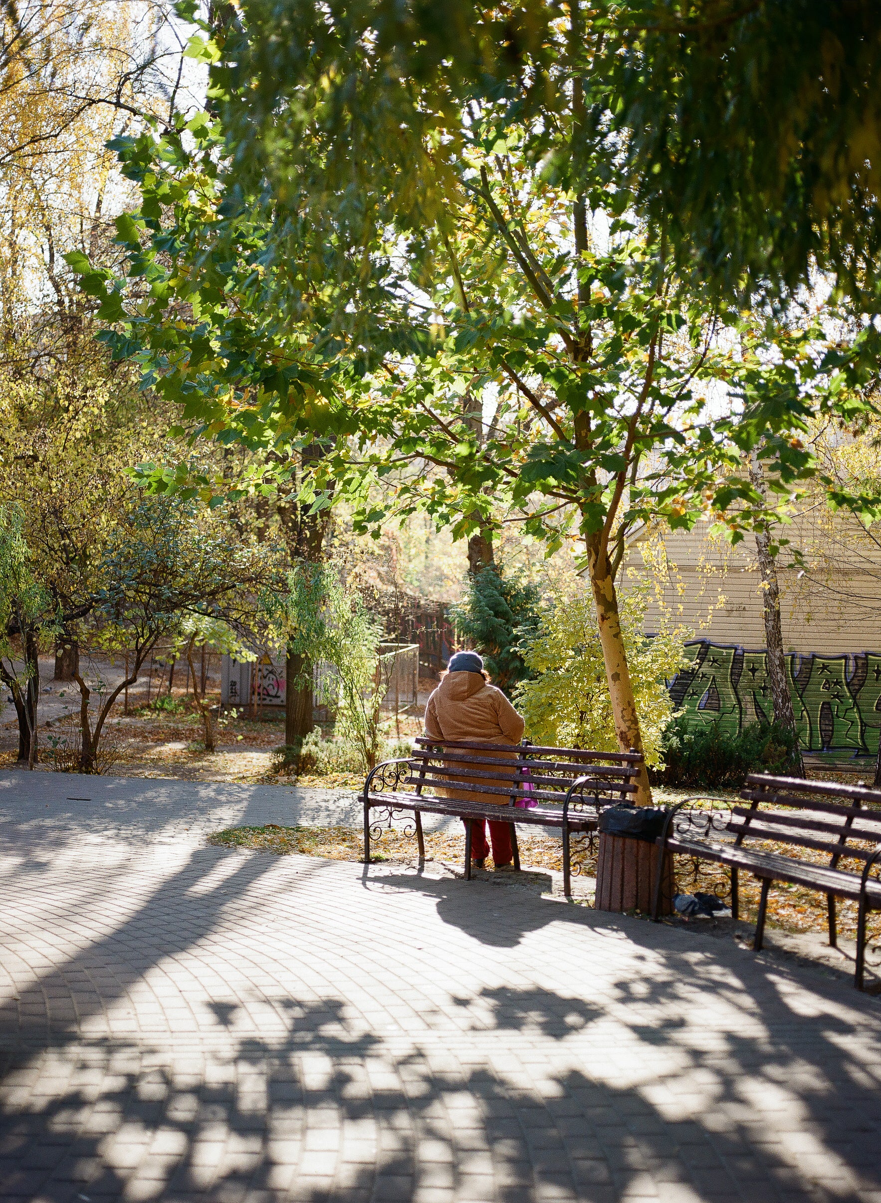 sunlight shadows scaptured on С41 color film