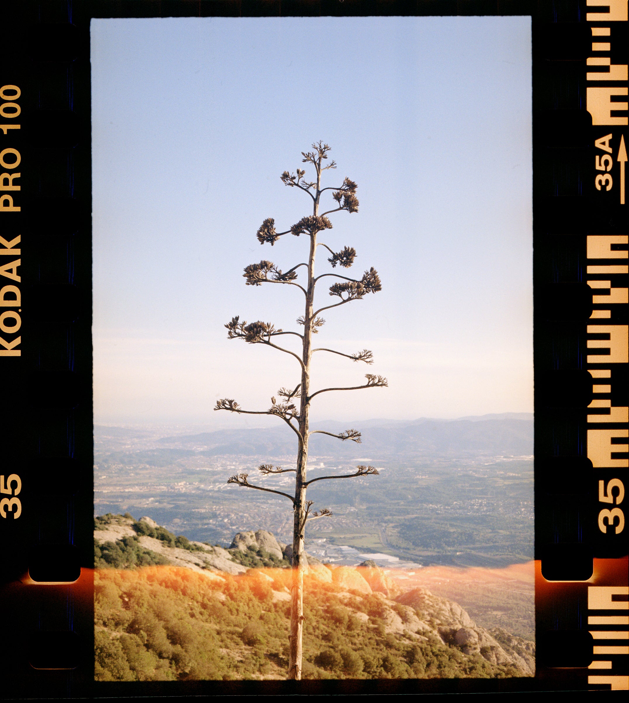 Scanning Film with Borders (per 3-frame strip (135) / per frame (120)