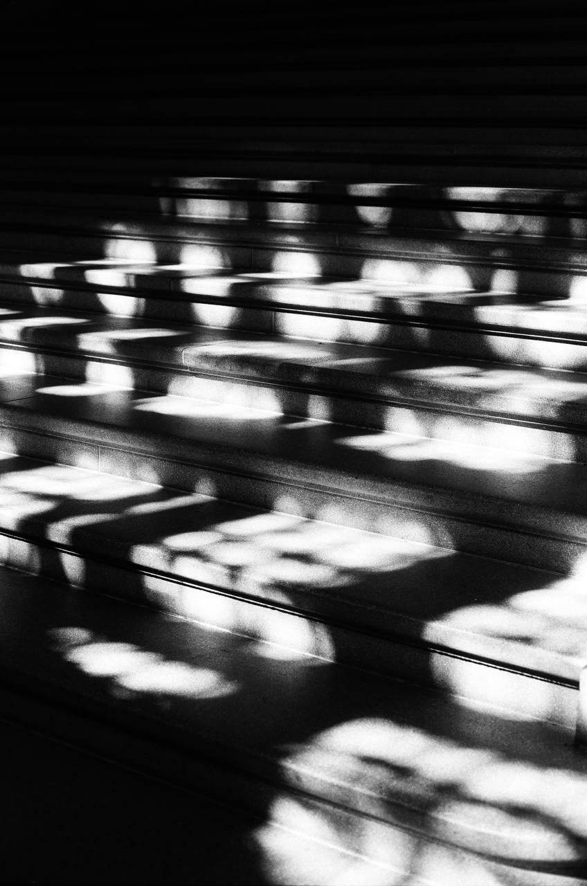 stairs with shadows shot on black and white film