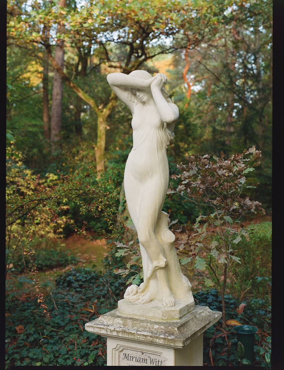 Lomography 800/120 color negative film (1 roll film)