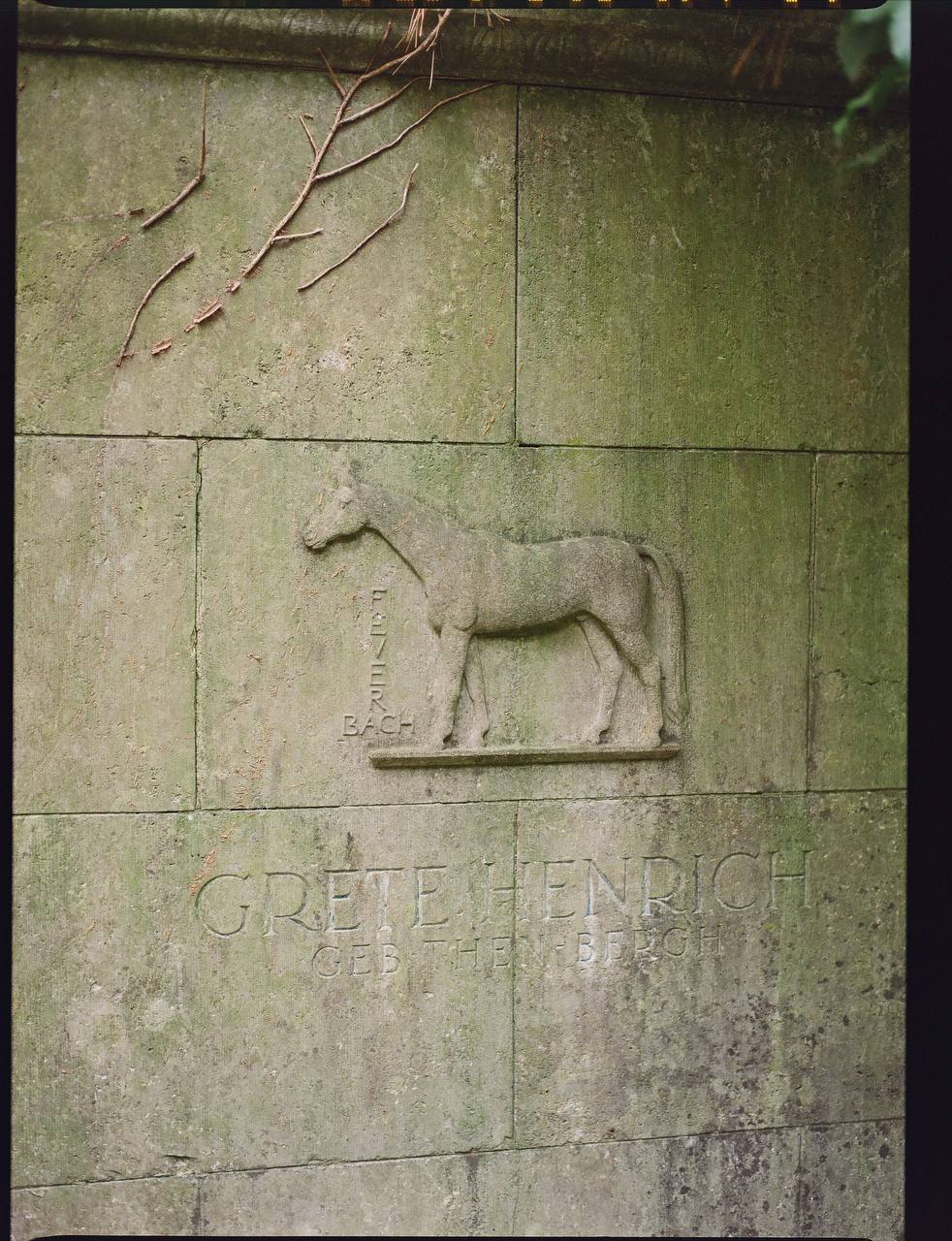 Lomography 800/120 color negative film (1 roll film)