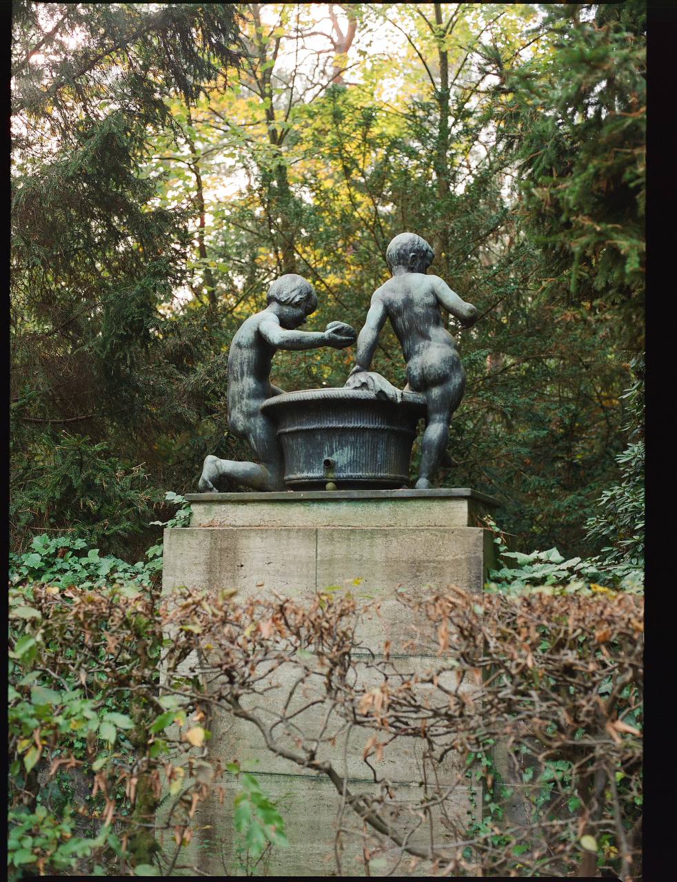 Lomography 800/120 color negative film (1 roll film)