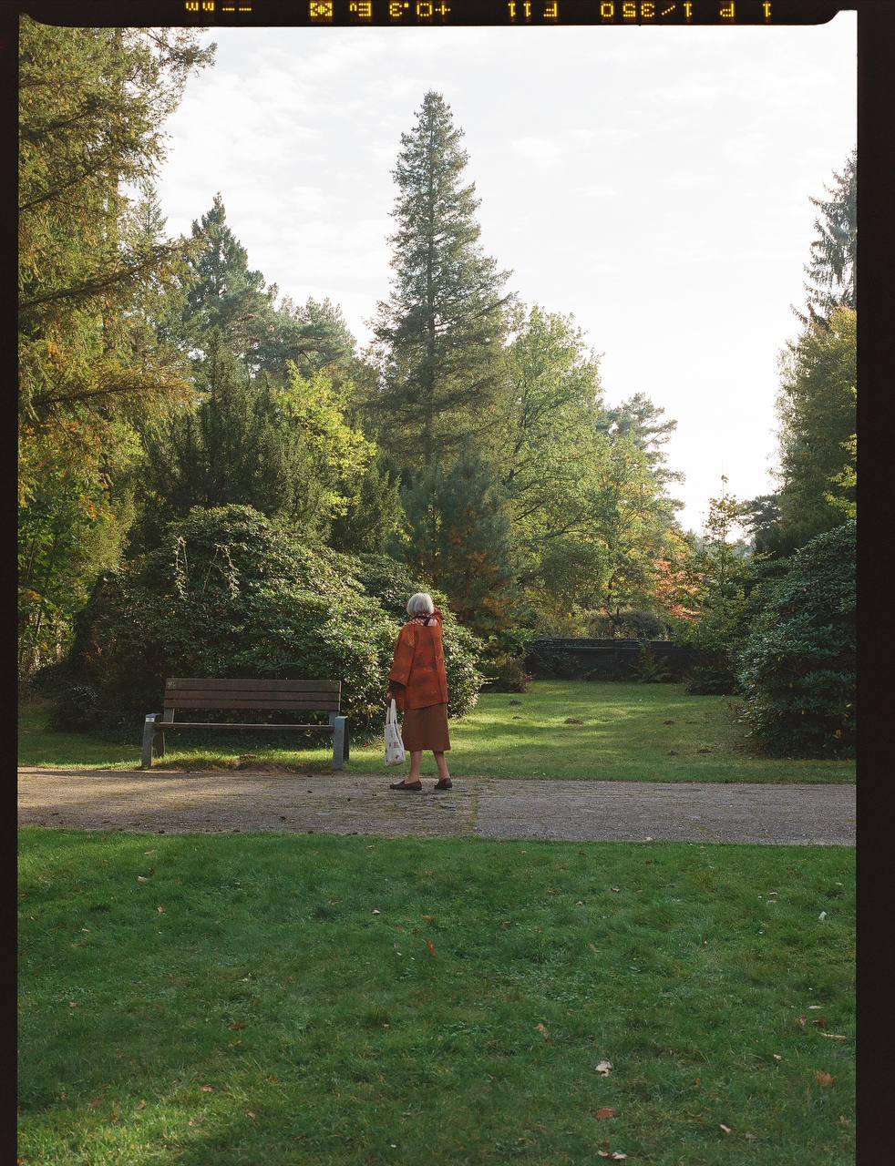 Lomography 800/120 color negative film (1 roll film)