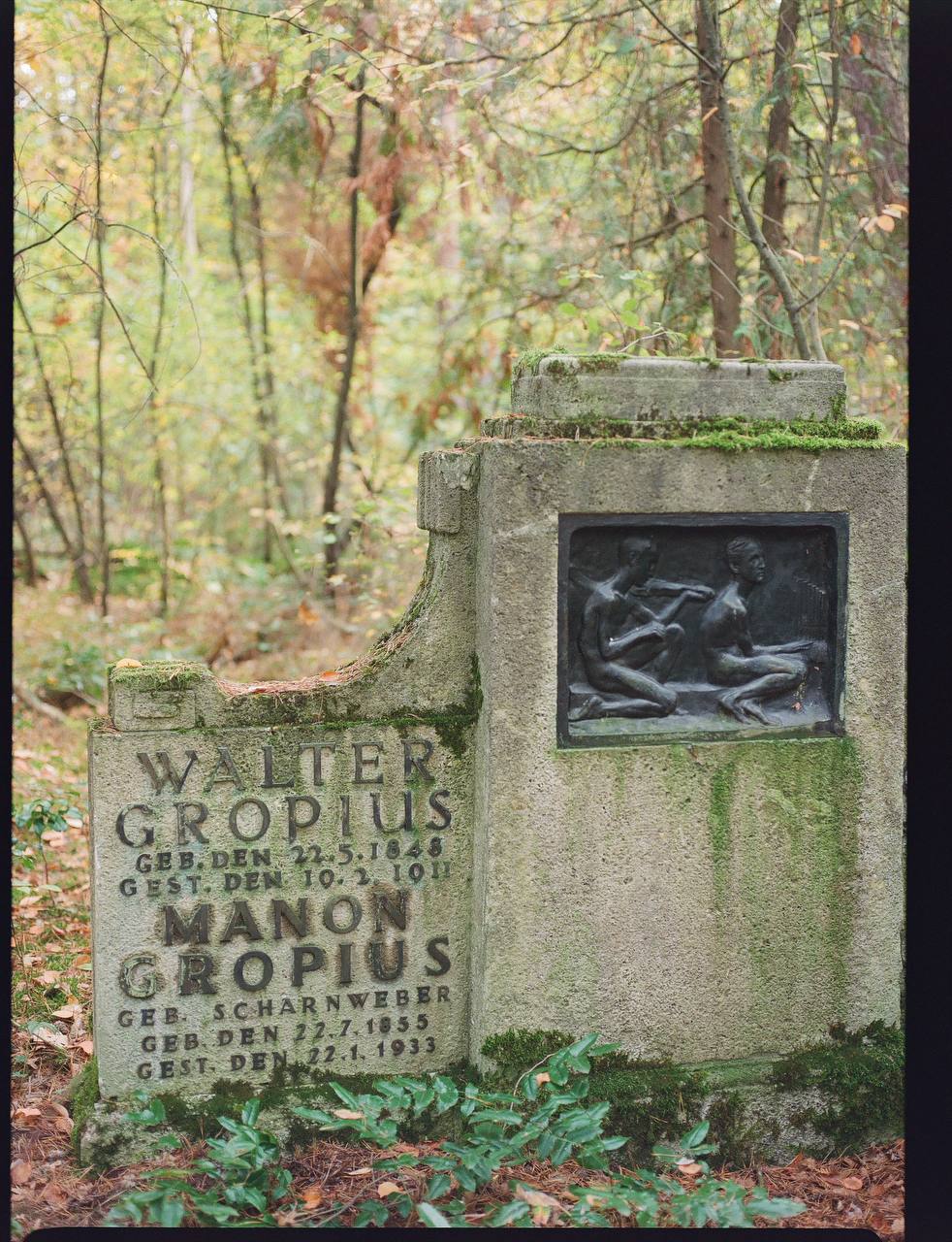 Lomography 800/120 color negative film (1 roll film)