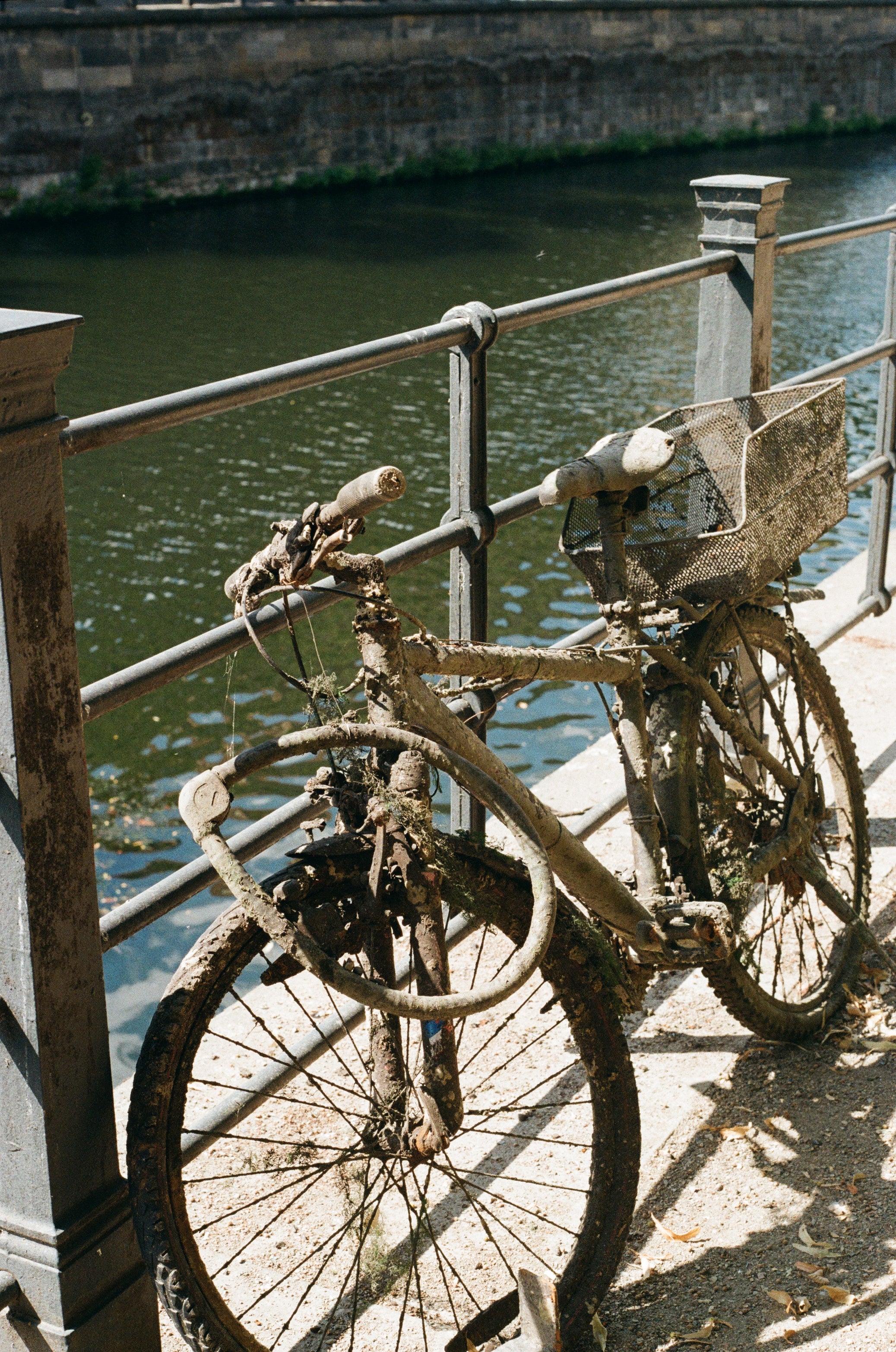 Kodak ColorPlus 135/36