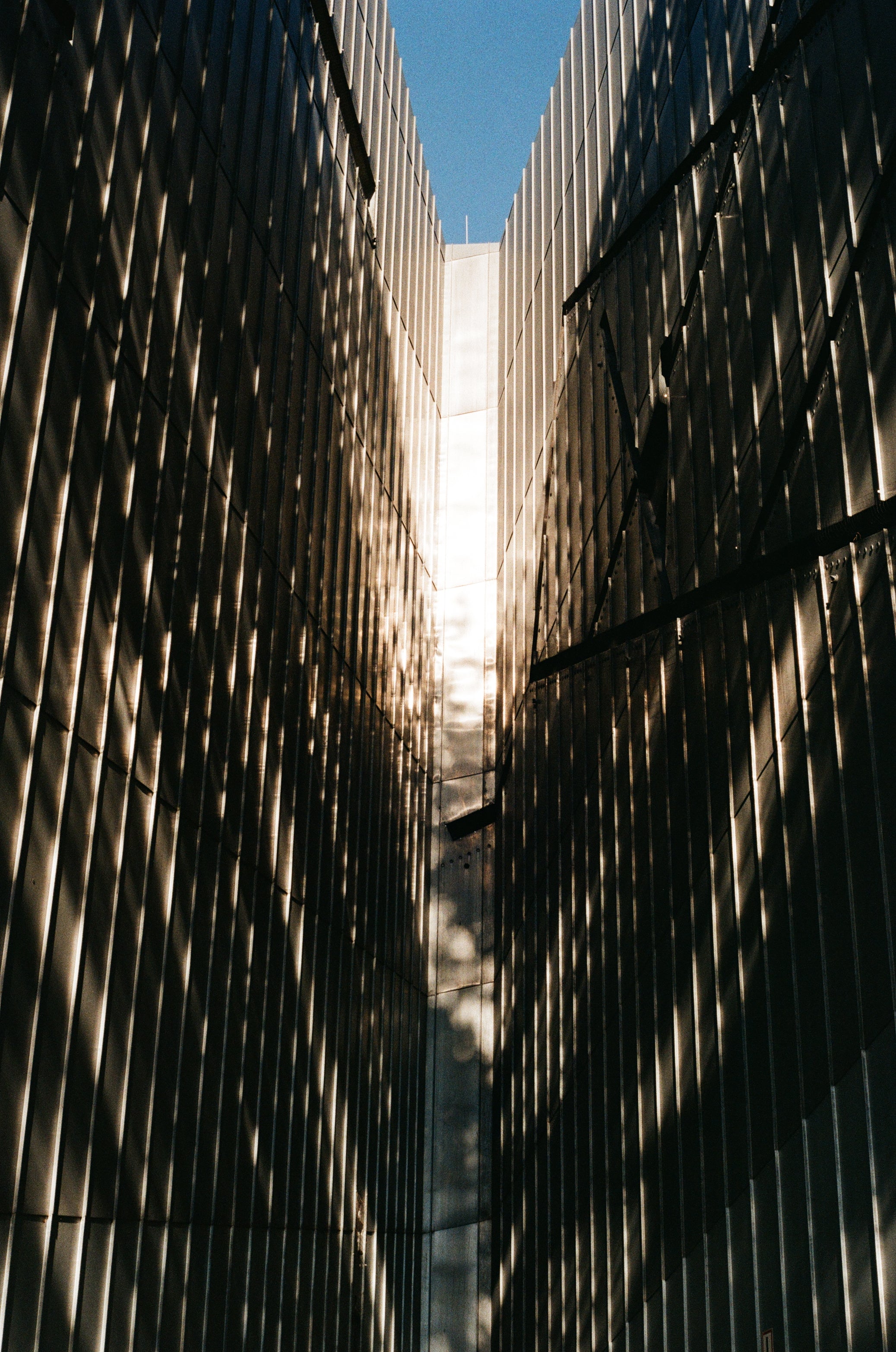 Kodak ColorPlus 135/36