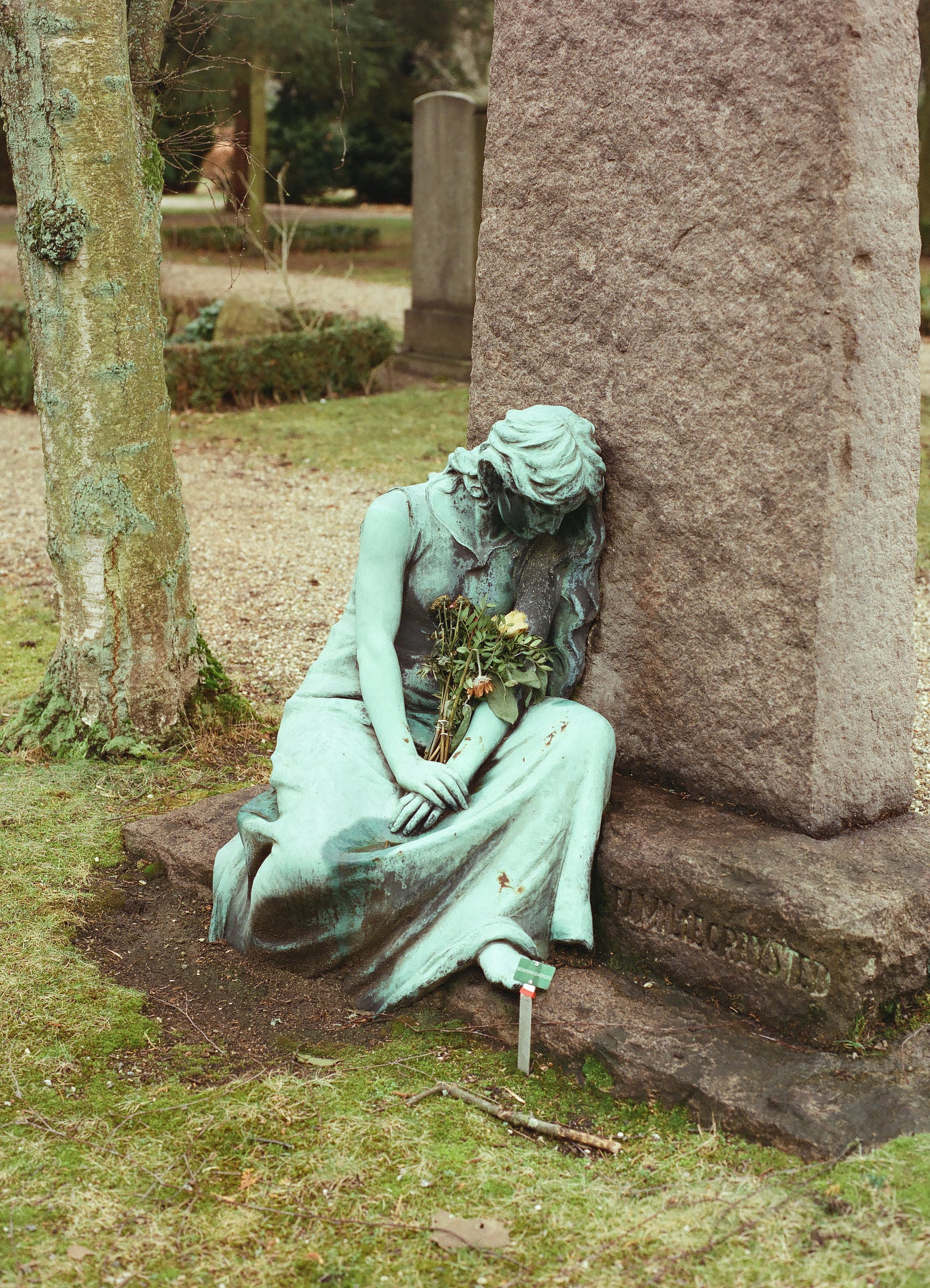 Cinestill 400D 120 TYP