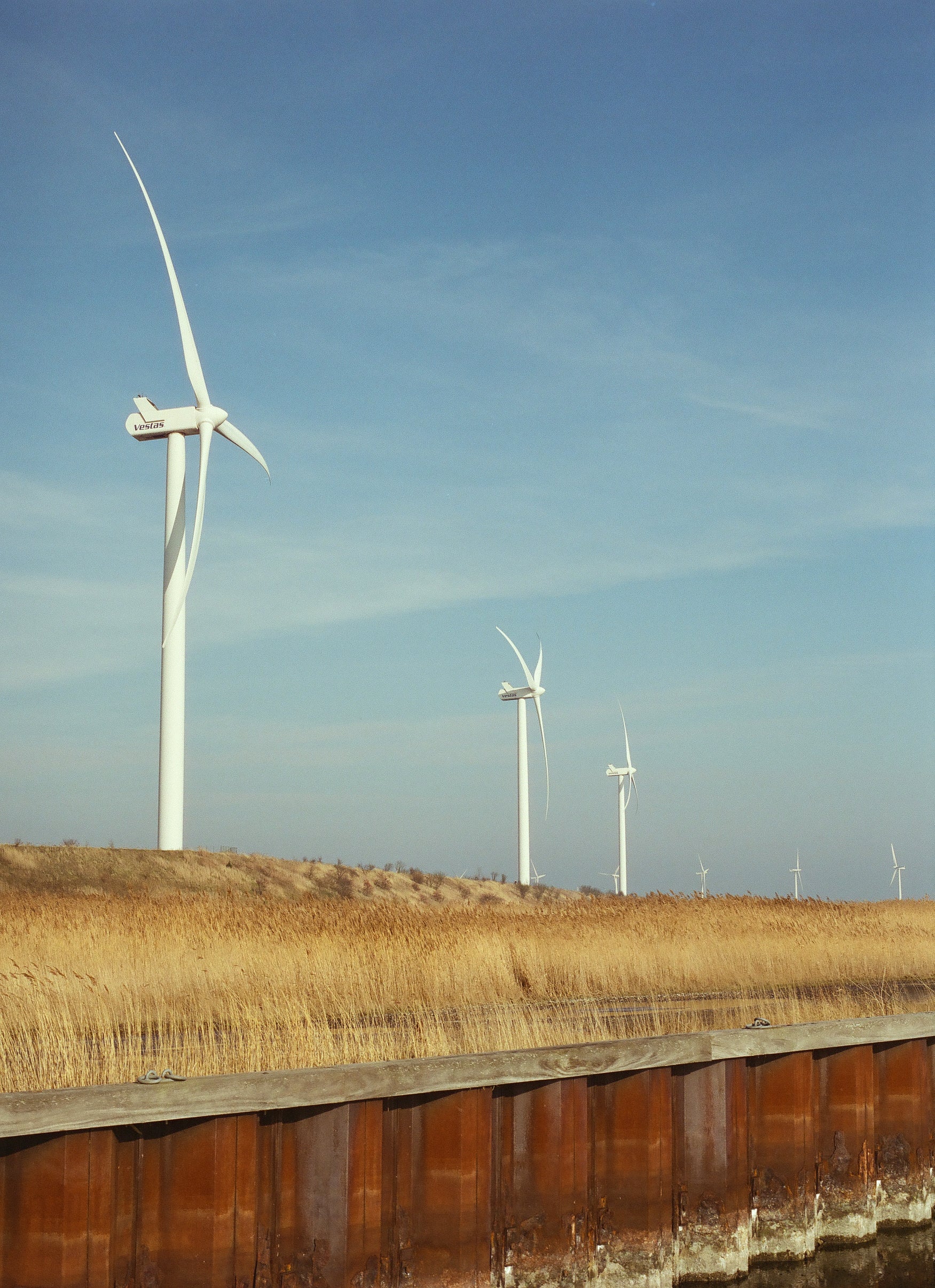 Cinestill 400D 120 TYP