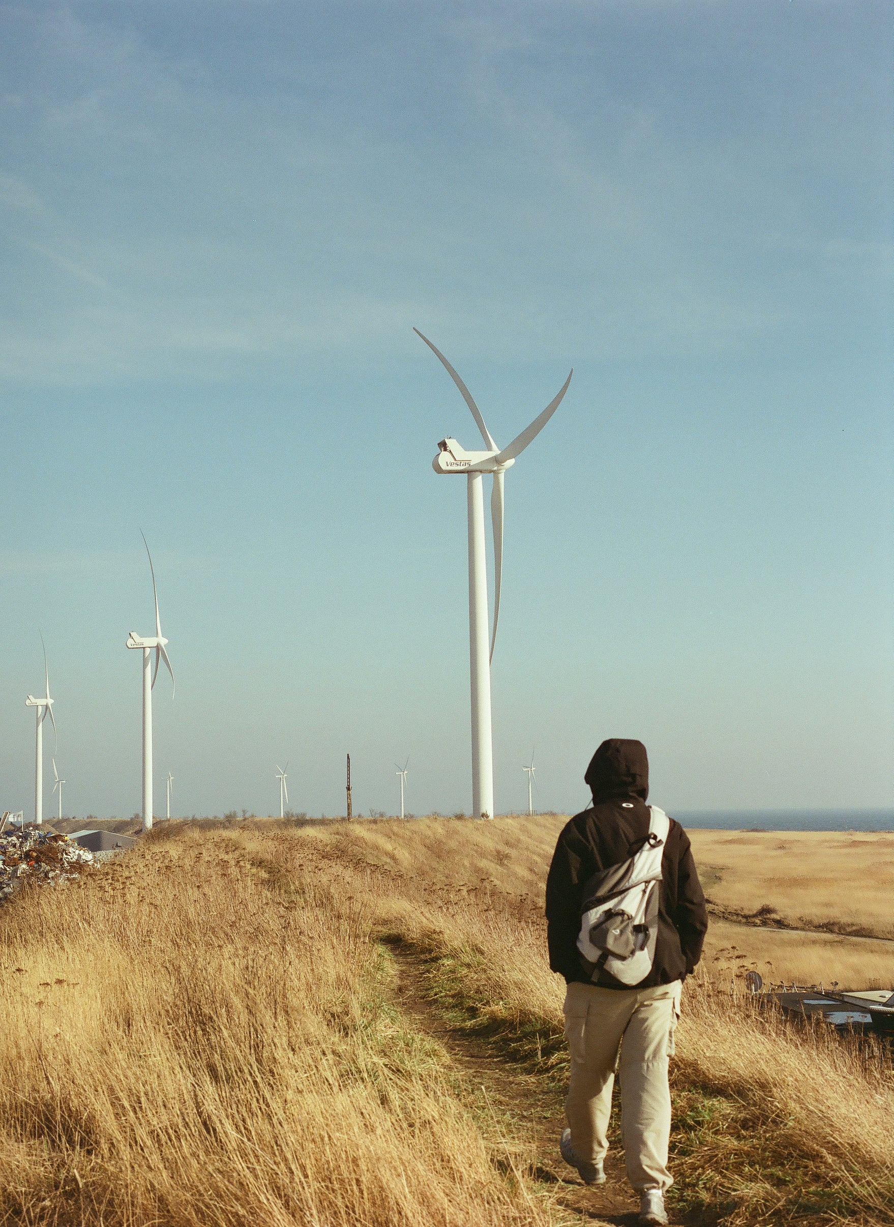 Cinestill 400D 120 TYP