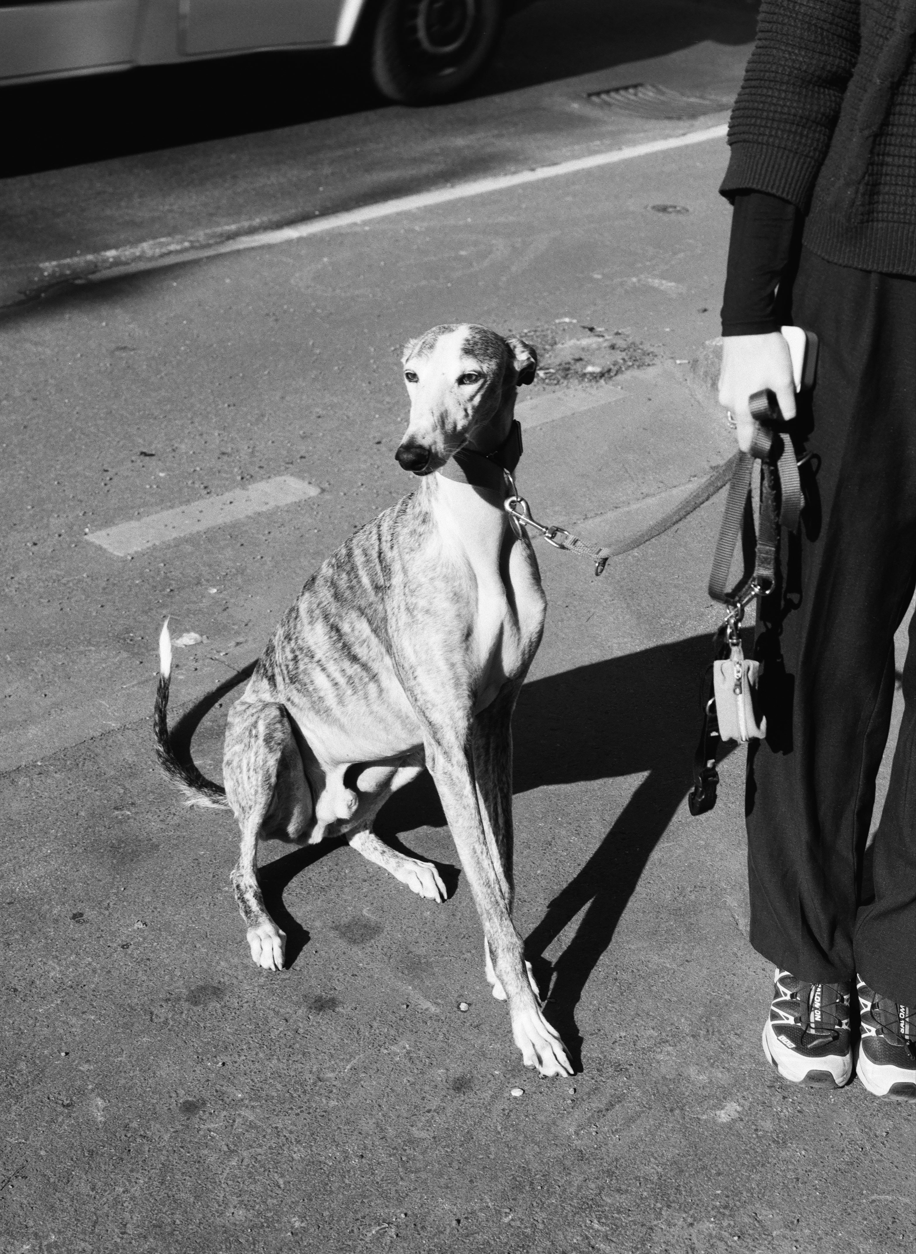 Kentmere Pan 100 BW Fiilm (120 Roll Film)