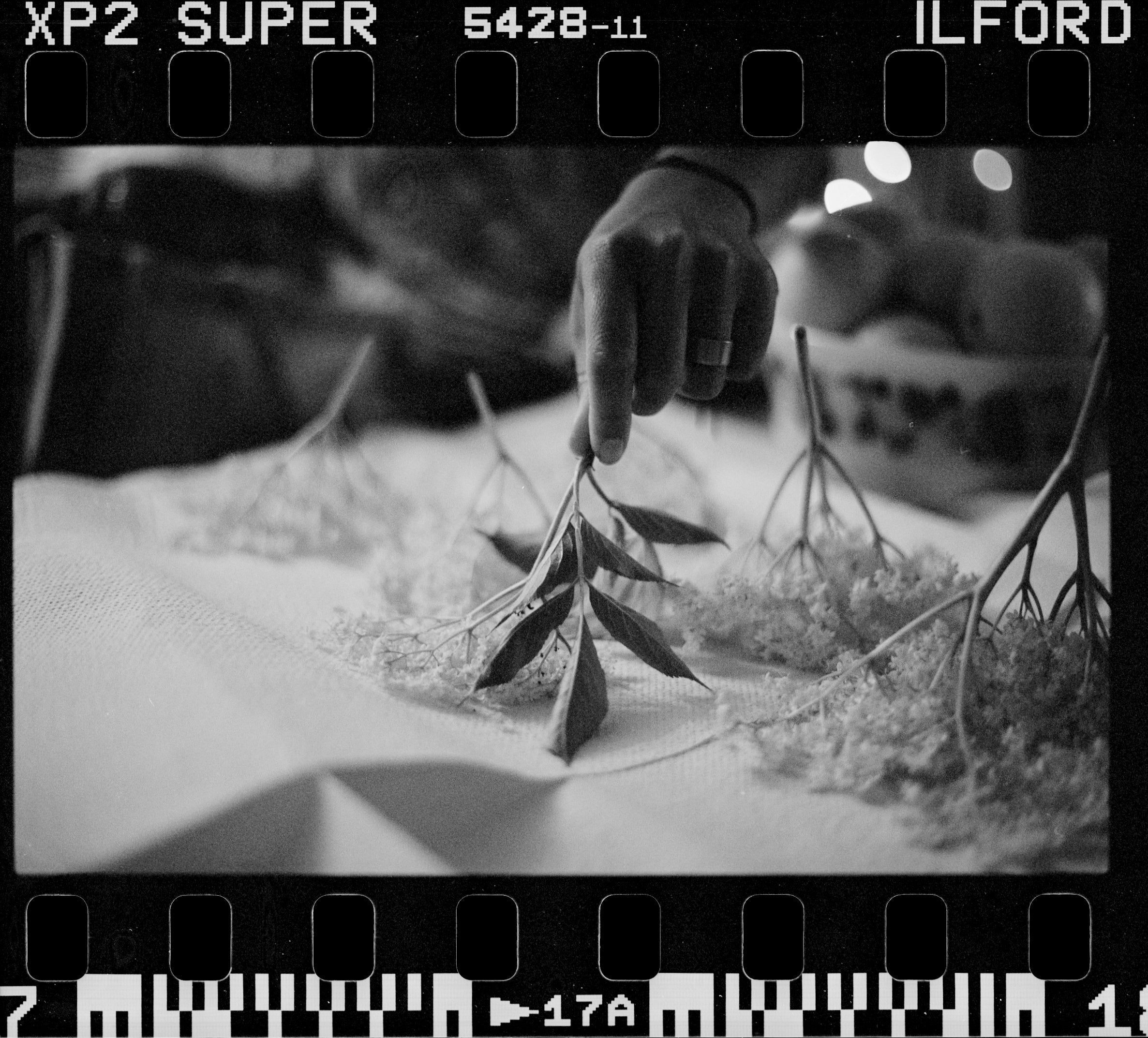 Scanning Film with Borders (per 3-frame strip (135) / per frame (120)