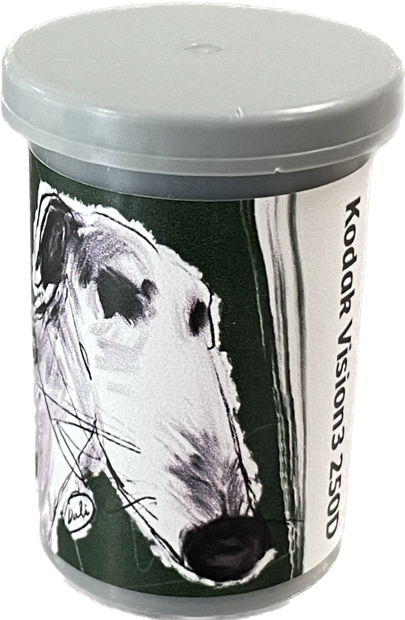 Kodak Vision 250D ohne Remjet (Rollfilm Typ 135, 36 Aufnahmen), 1 Rolle