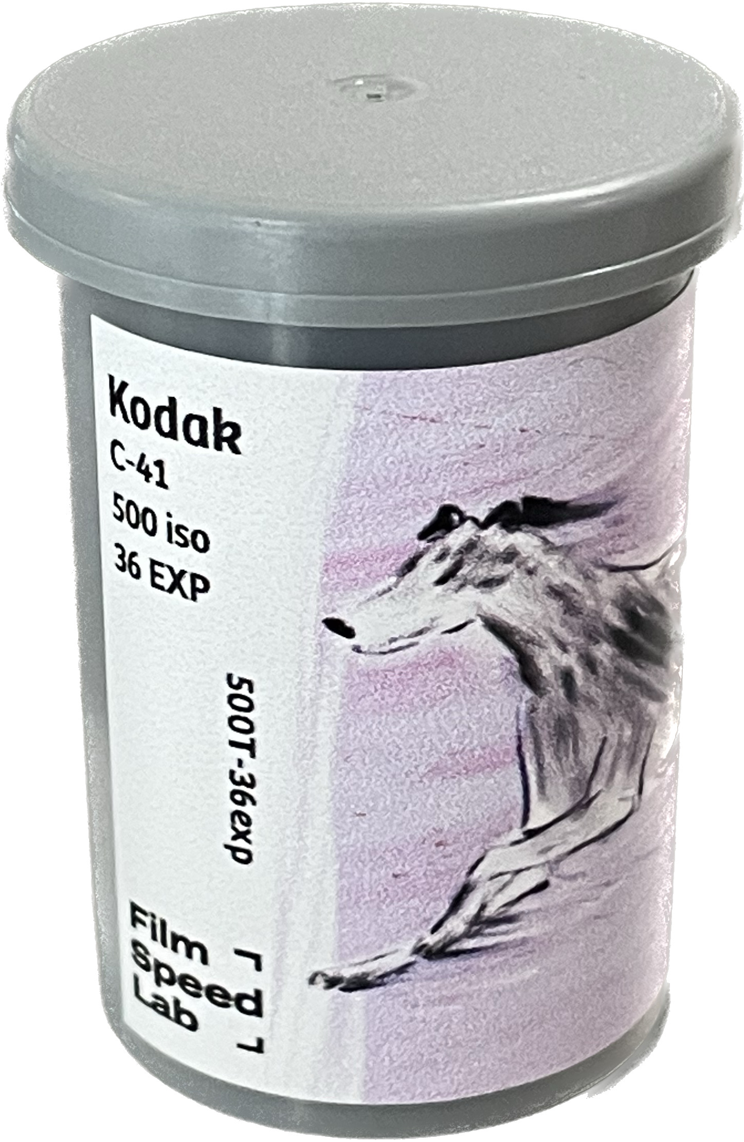 Kodak Vision 500T ohne Remjet (Rollfilm Typ 135, 36 Aufnahmen), 1 Rolle