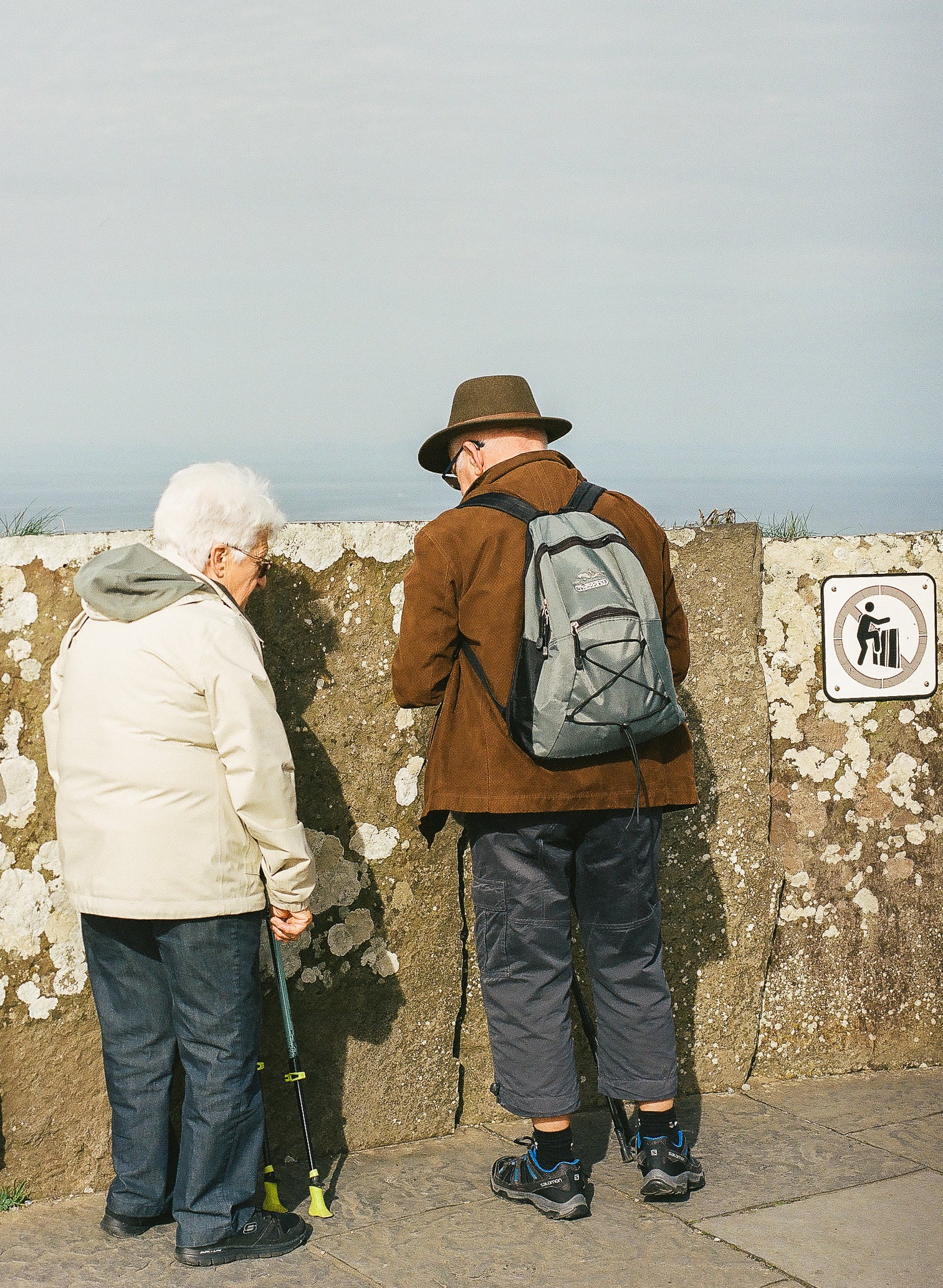 close-up photo on color negative film