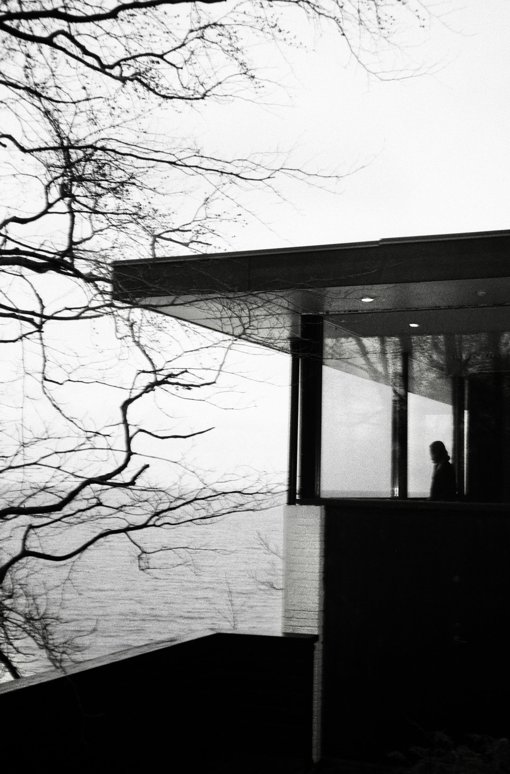 the terrace above the sea shot on black and white film