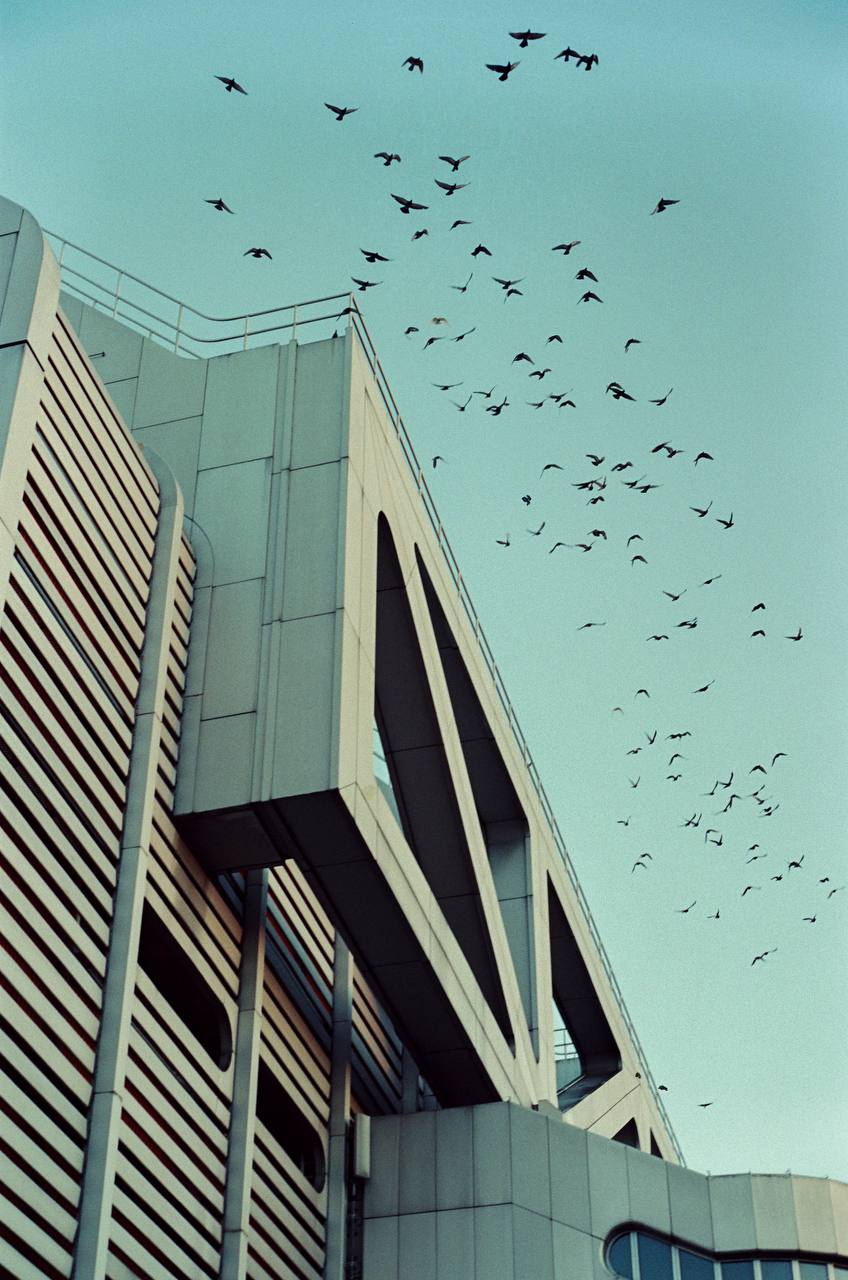 Urban sky, photographed using color motion picture film