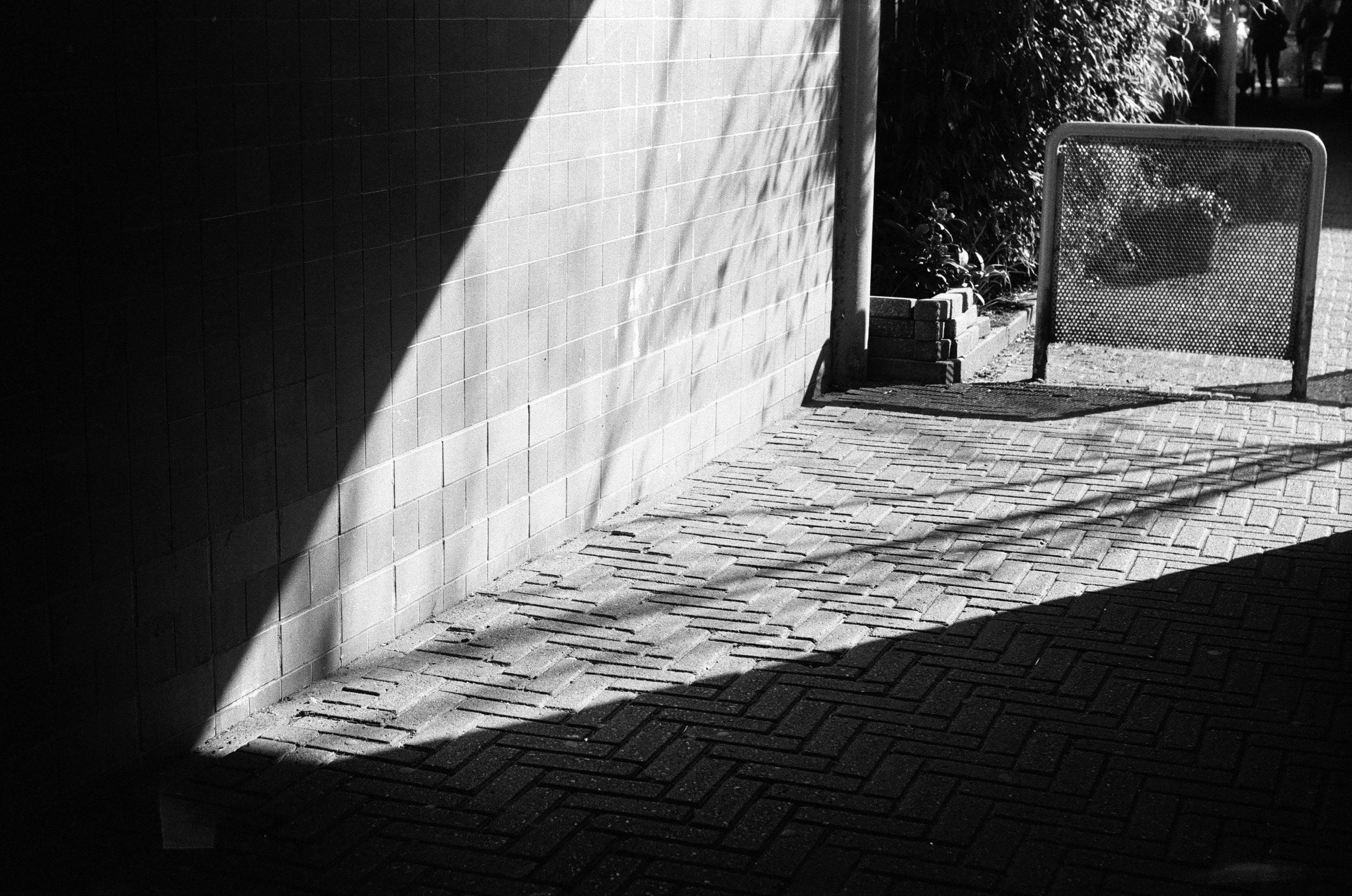 shadows from the sun on black and white film