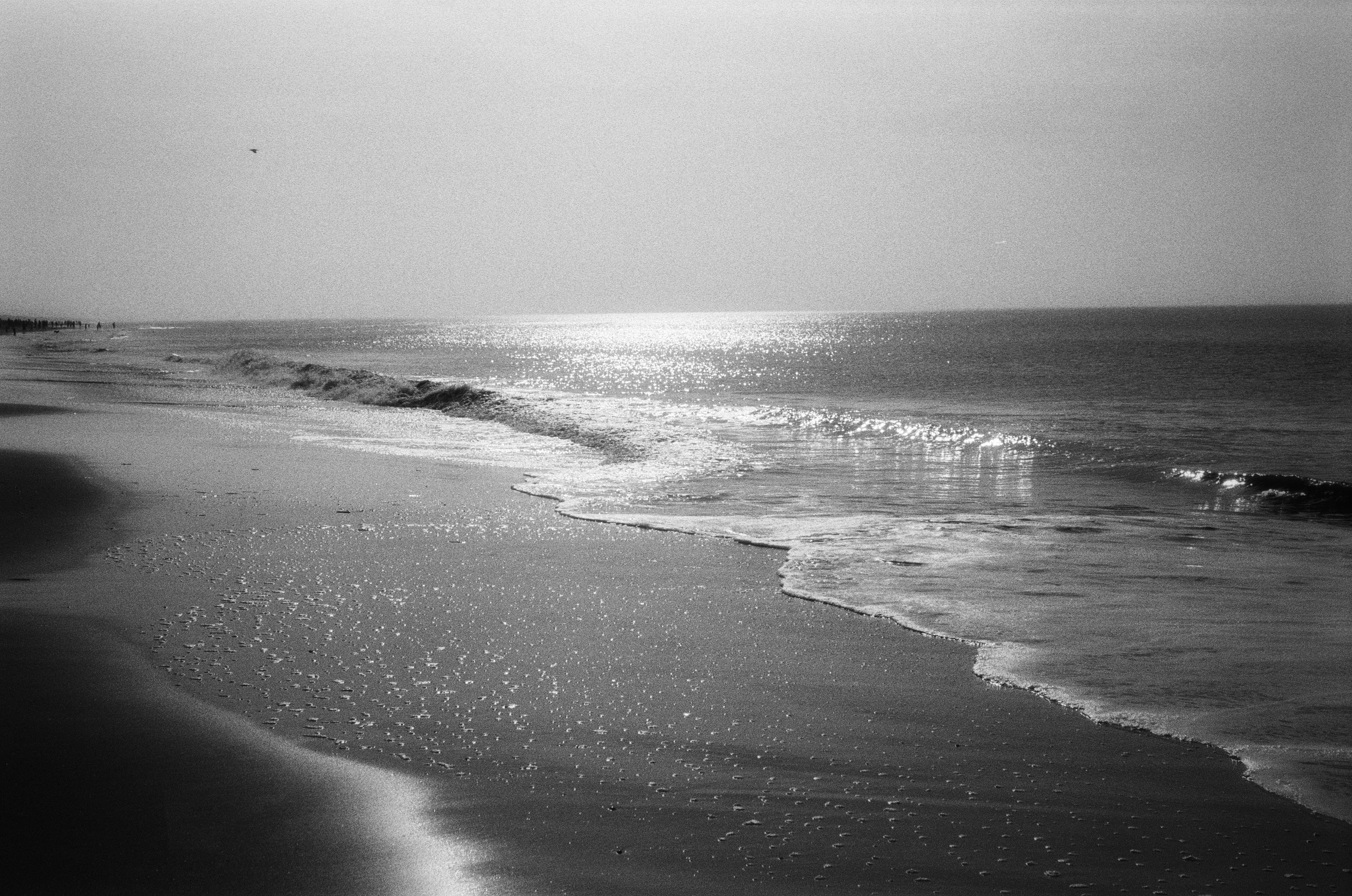 sea beach shot on black and white film
