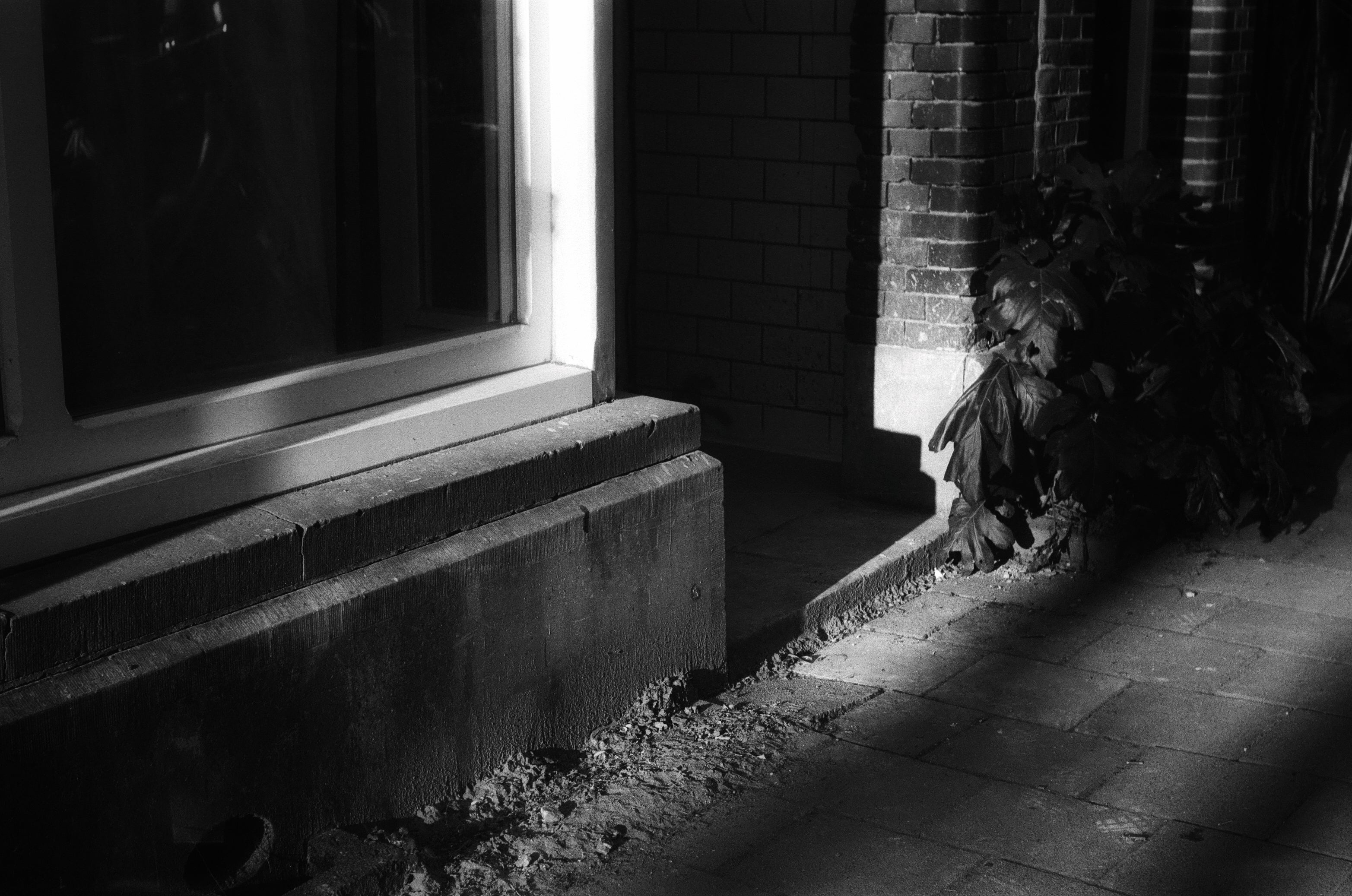 shadows and light shot on black & white film