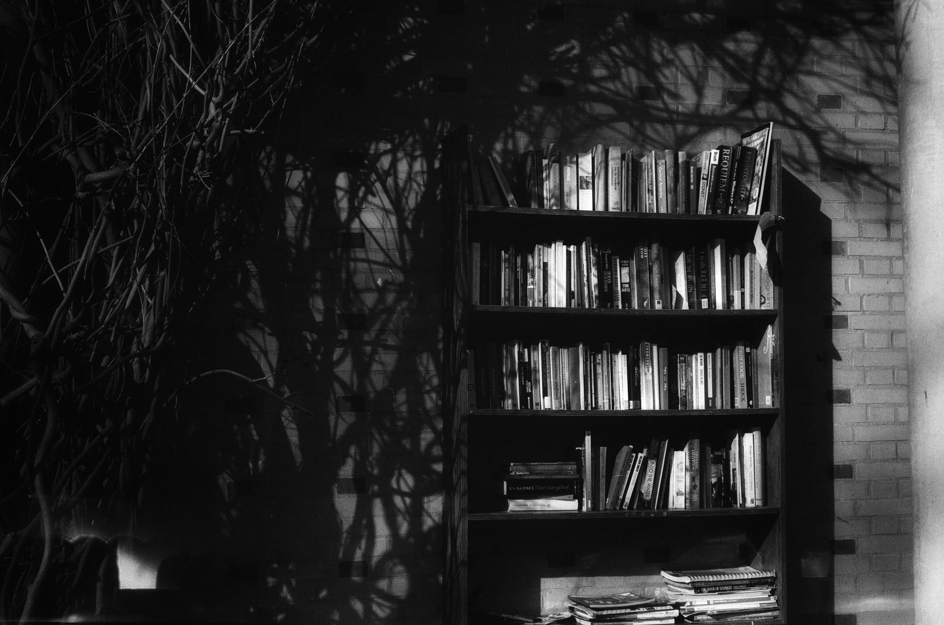 Sunlight on the bookshelf shot on black & white film