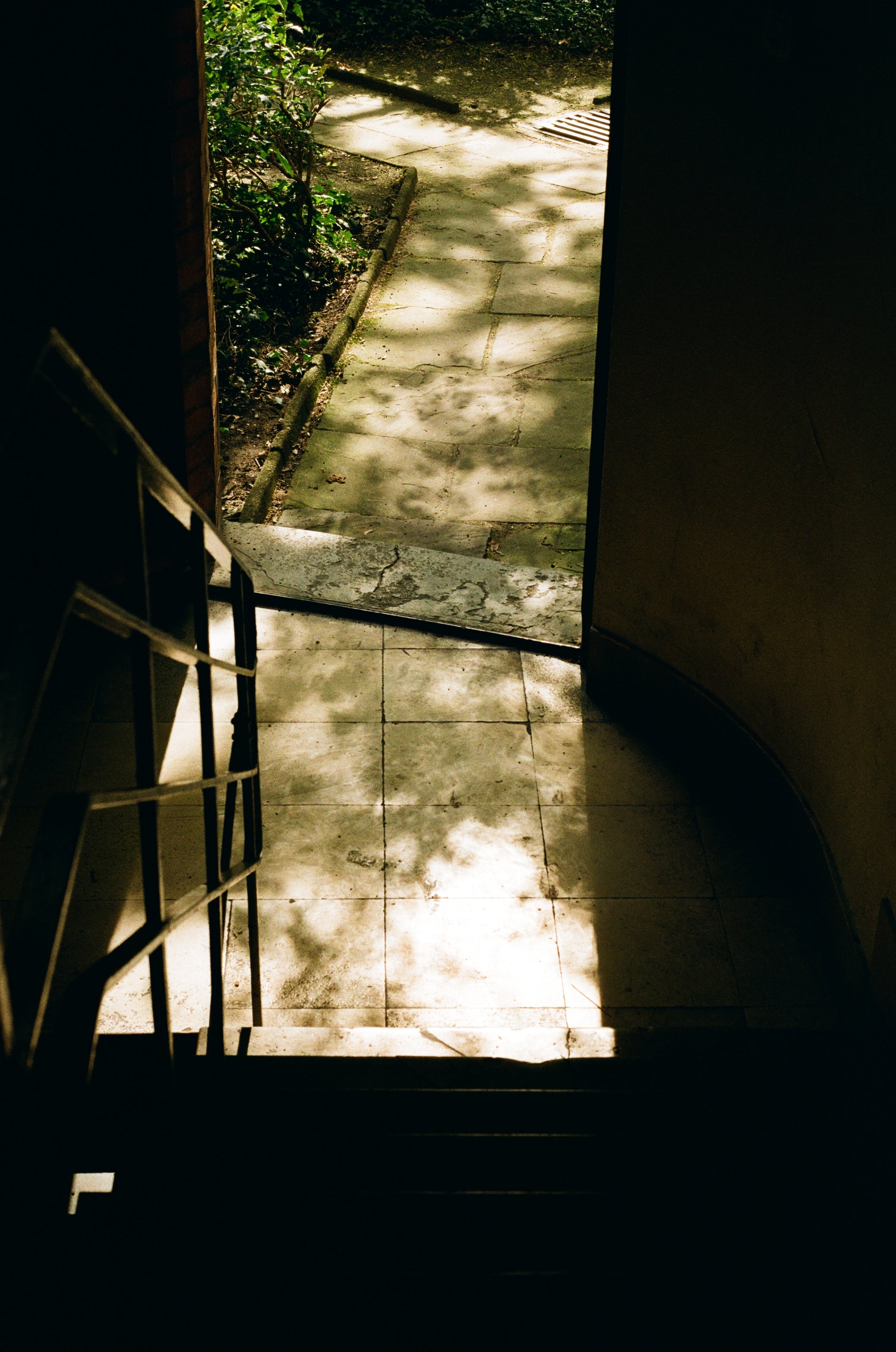 bright  captured on color negative film