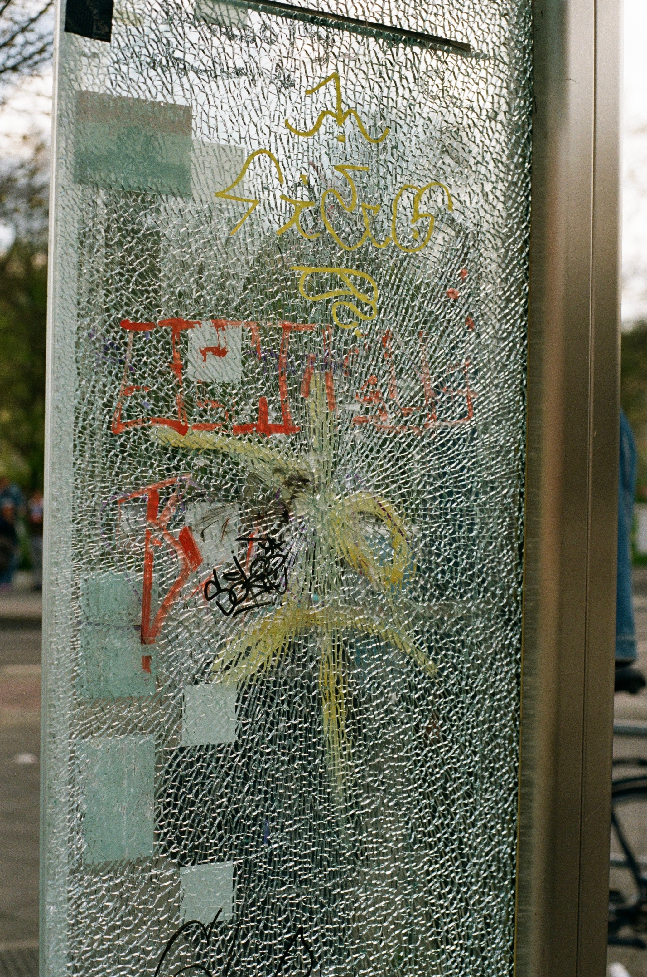 city accent on c41 color negative film