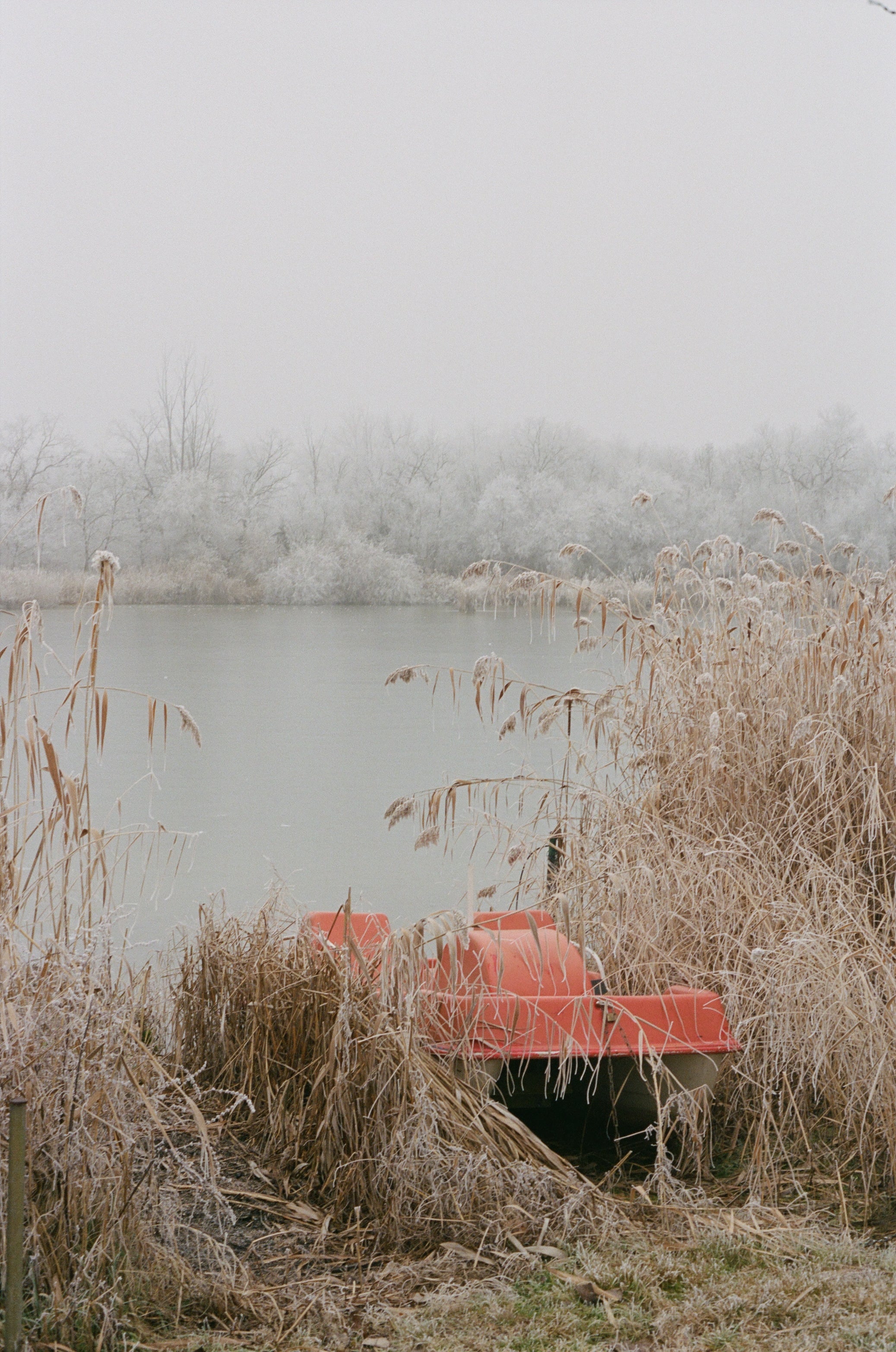 authentic film look with color negative film