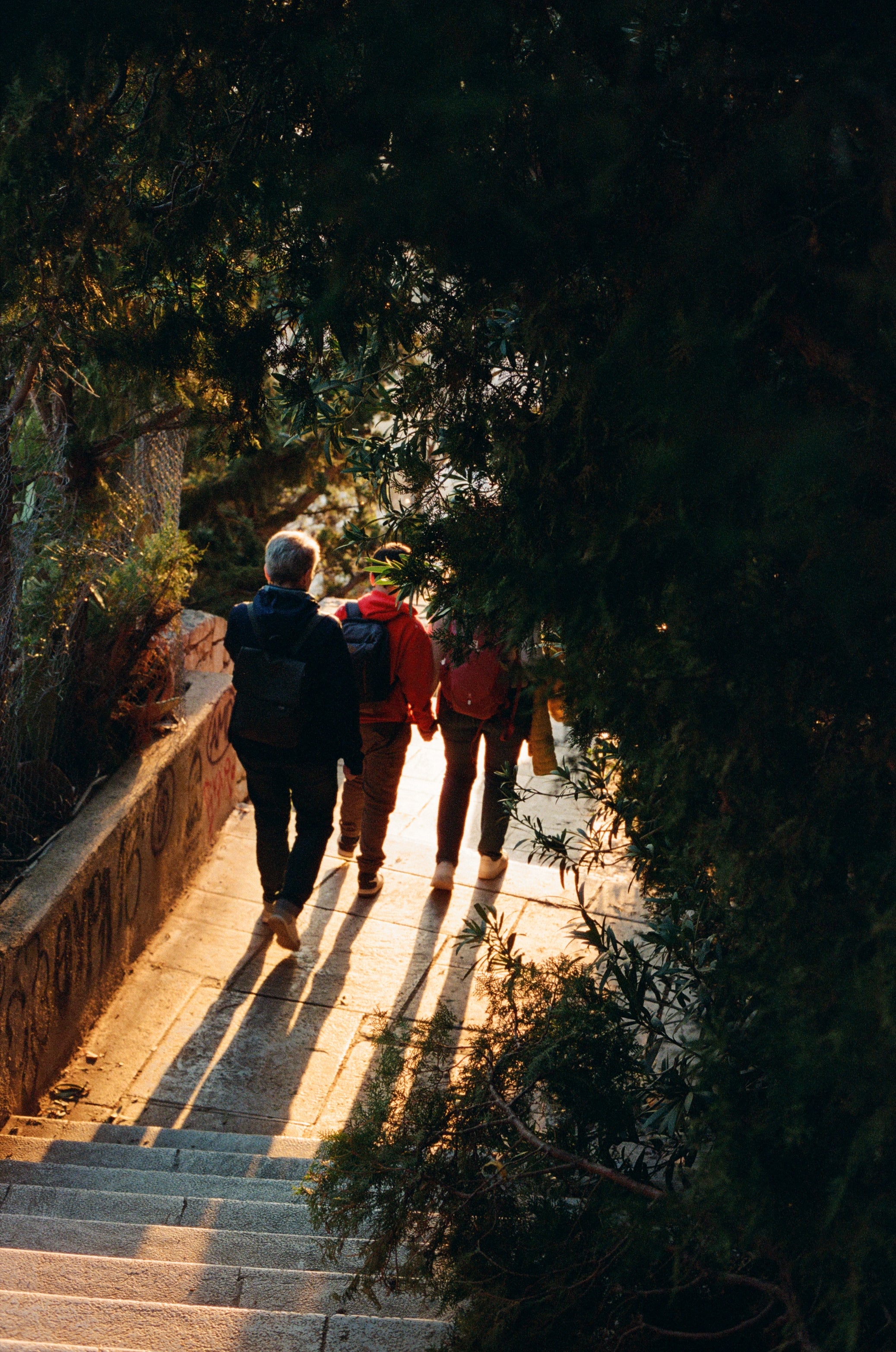 Lomography 800/36 colorneg film (135 type roll film, 36 Exposures), 1 roll