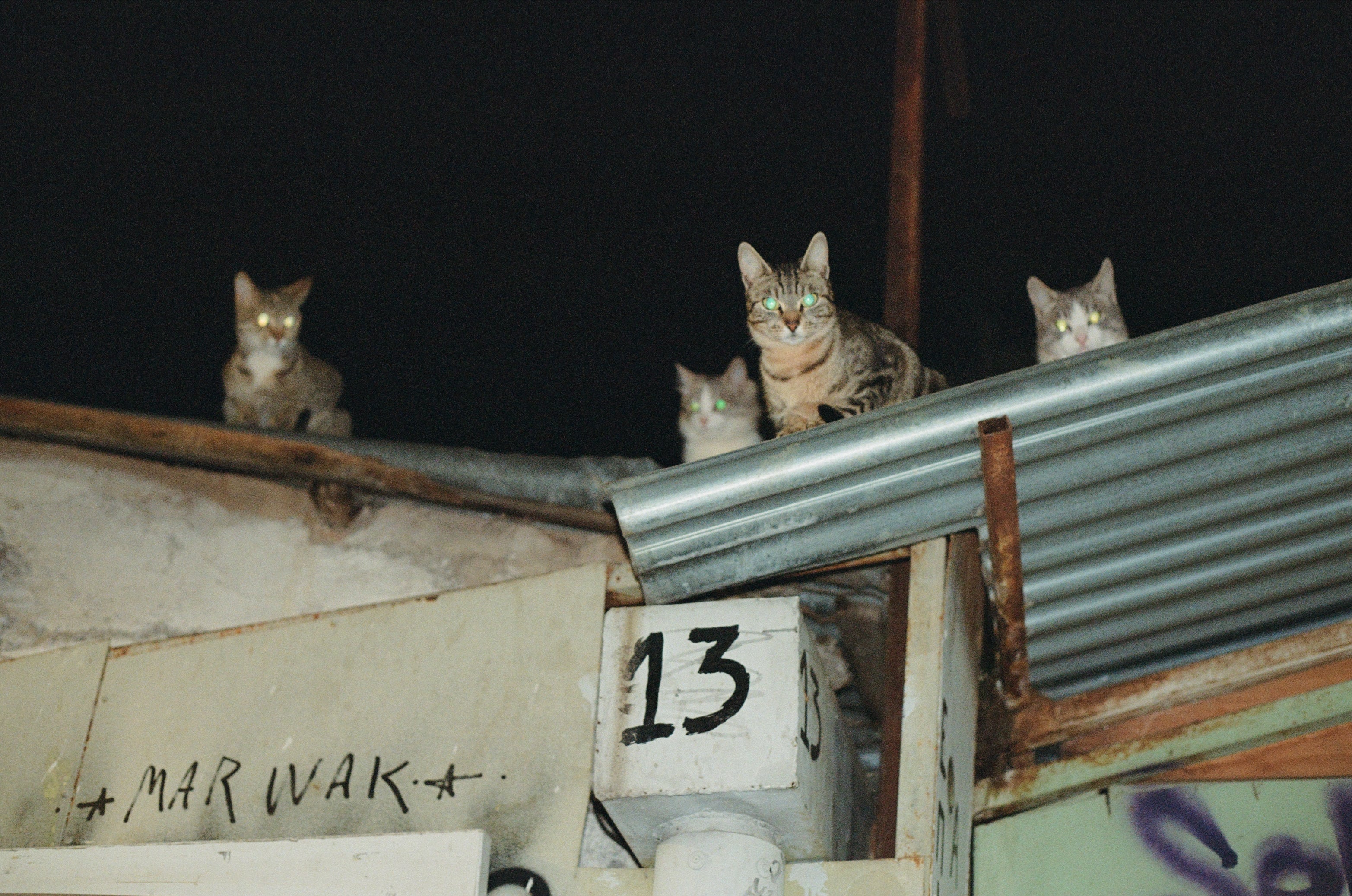 Lomography 800/36 colorneg film (135 type roll film, 36 Exposures), 1 roll