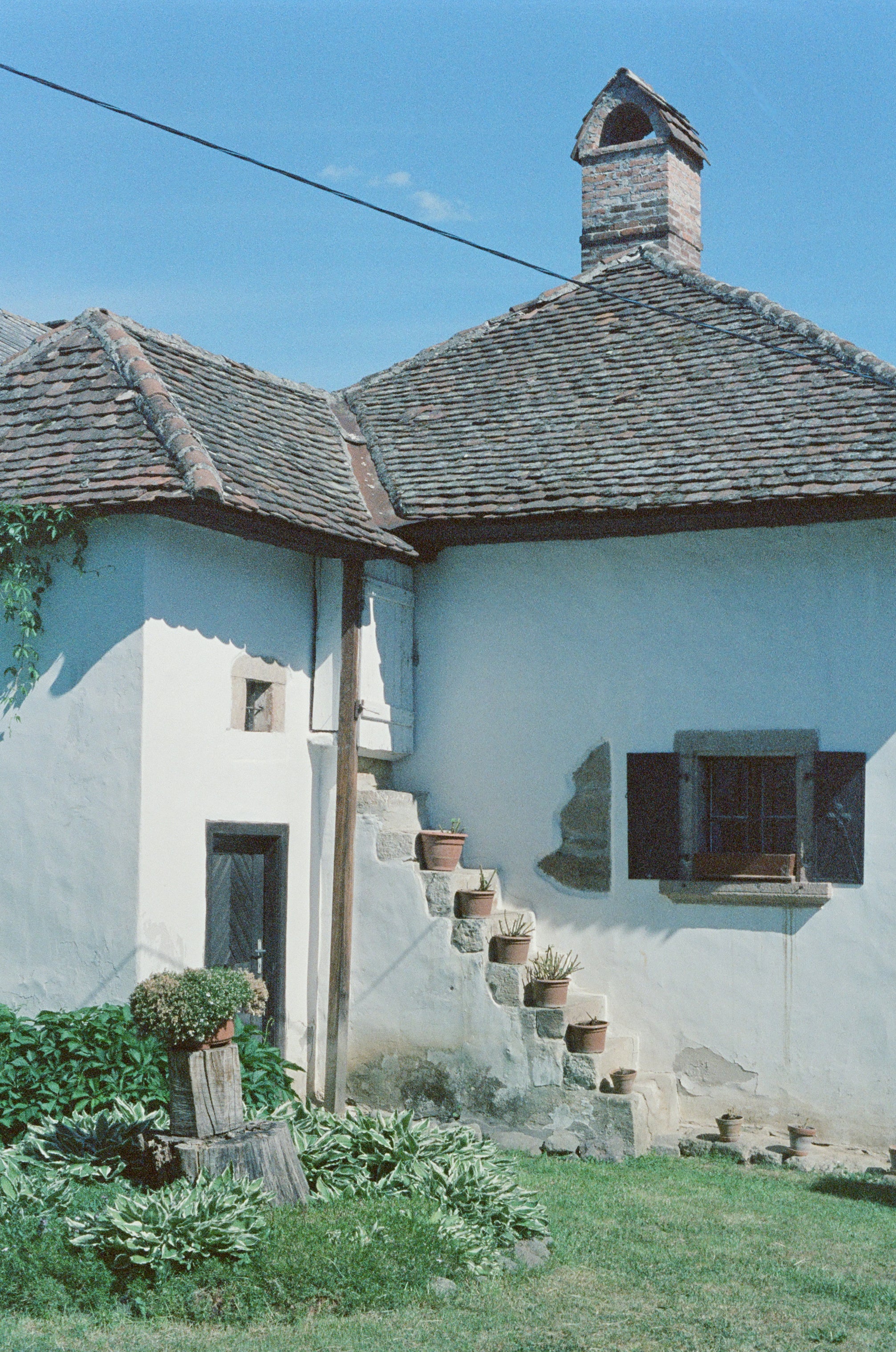 Motion picture film photo with natural vibrant colors