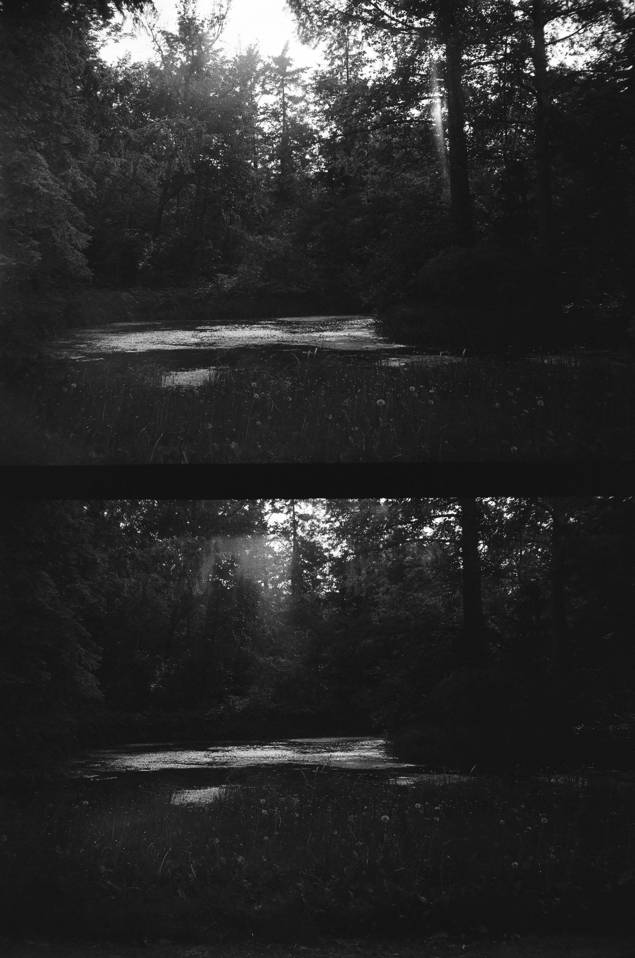 shots with shadows captured on black and white film
