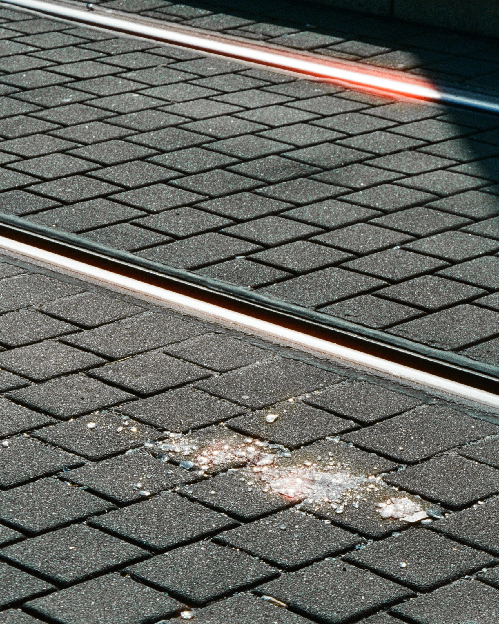 bright accents captured on color negative film