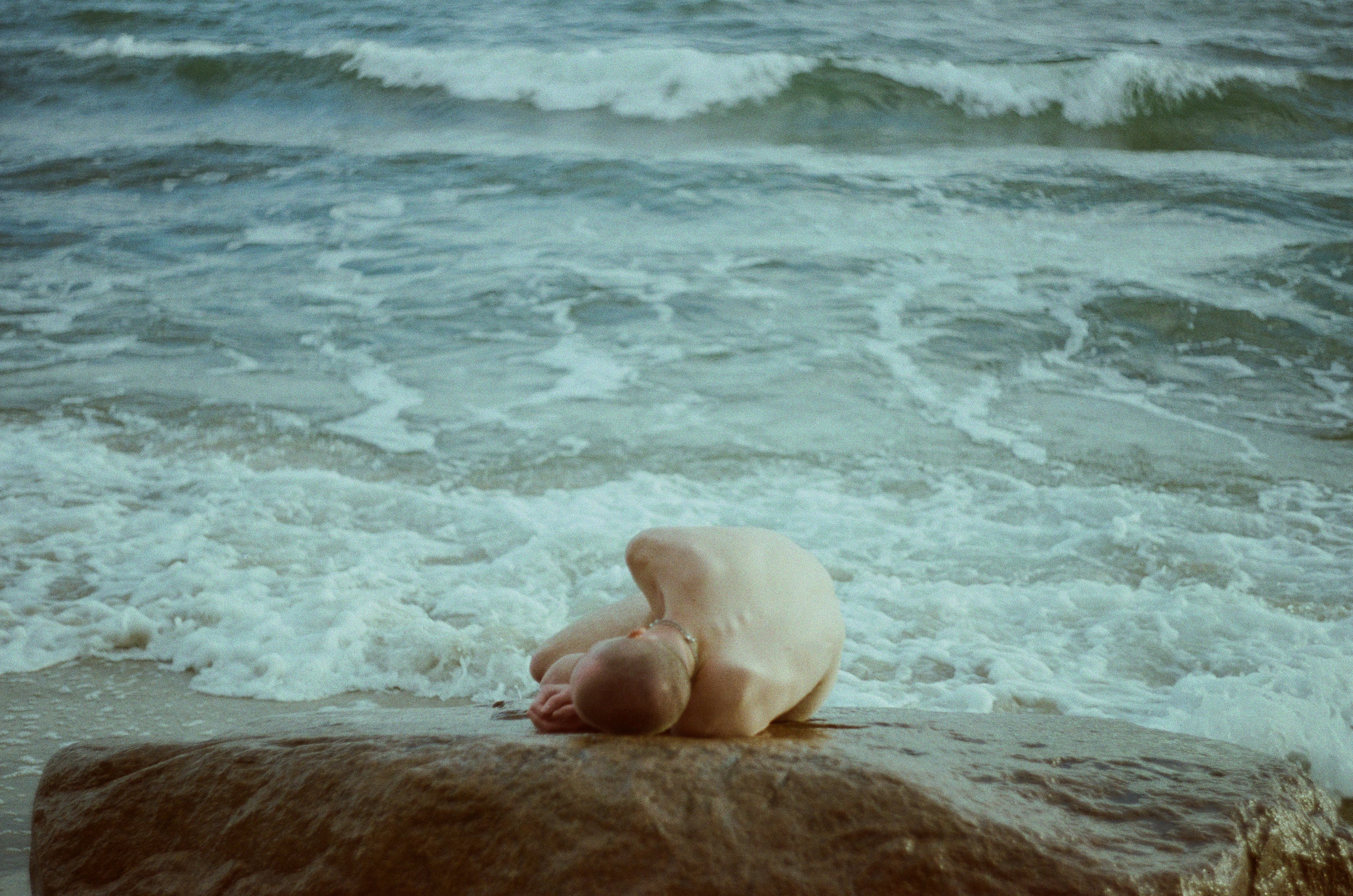 Nature seal scene shot on color motion picture film