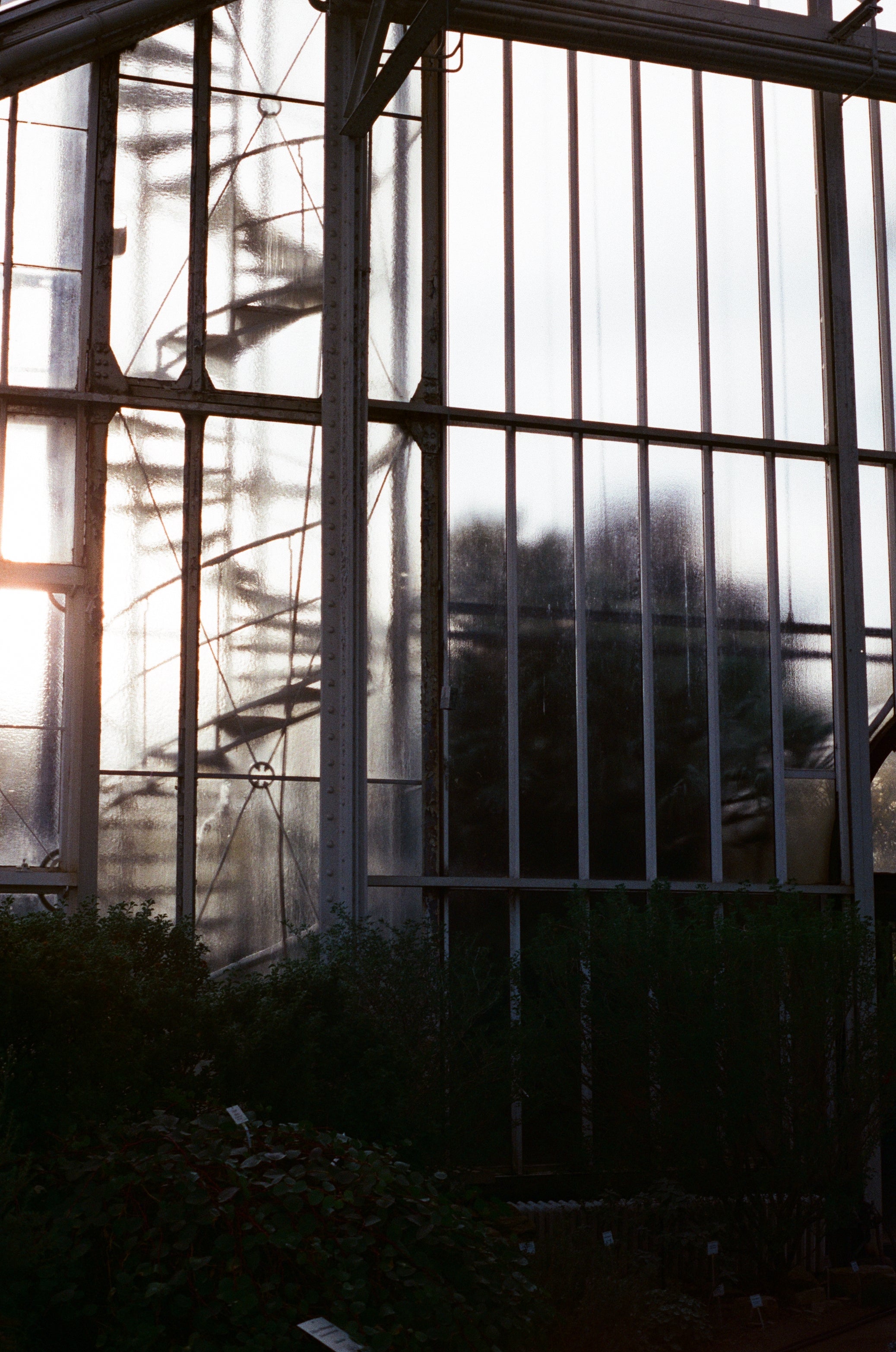 evening shadow on color motion picture film