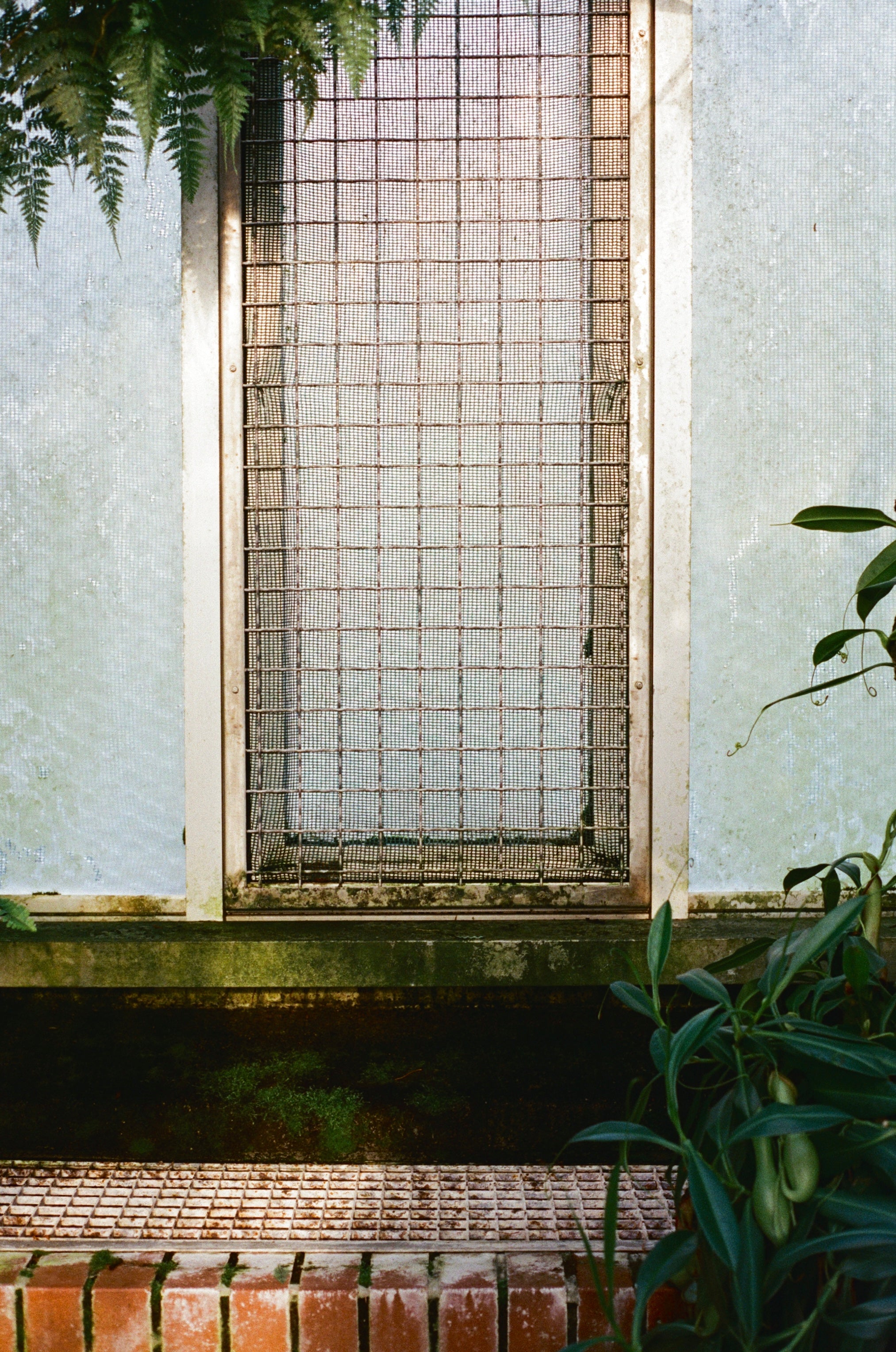 color motion picture film highlighting subtle color nuances