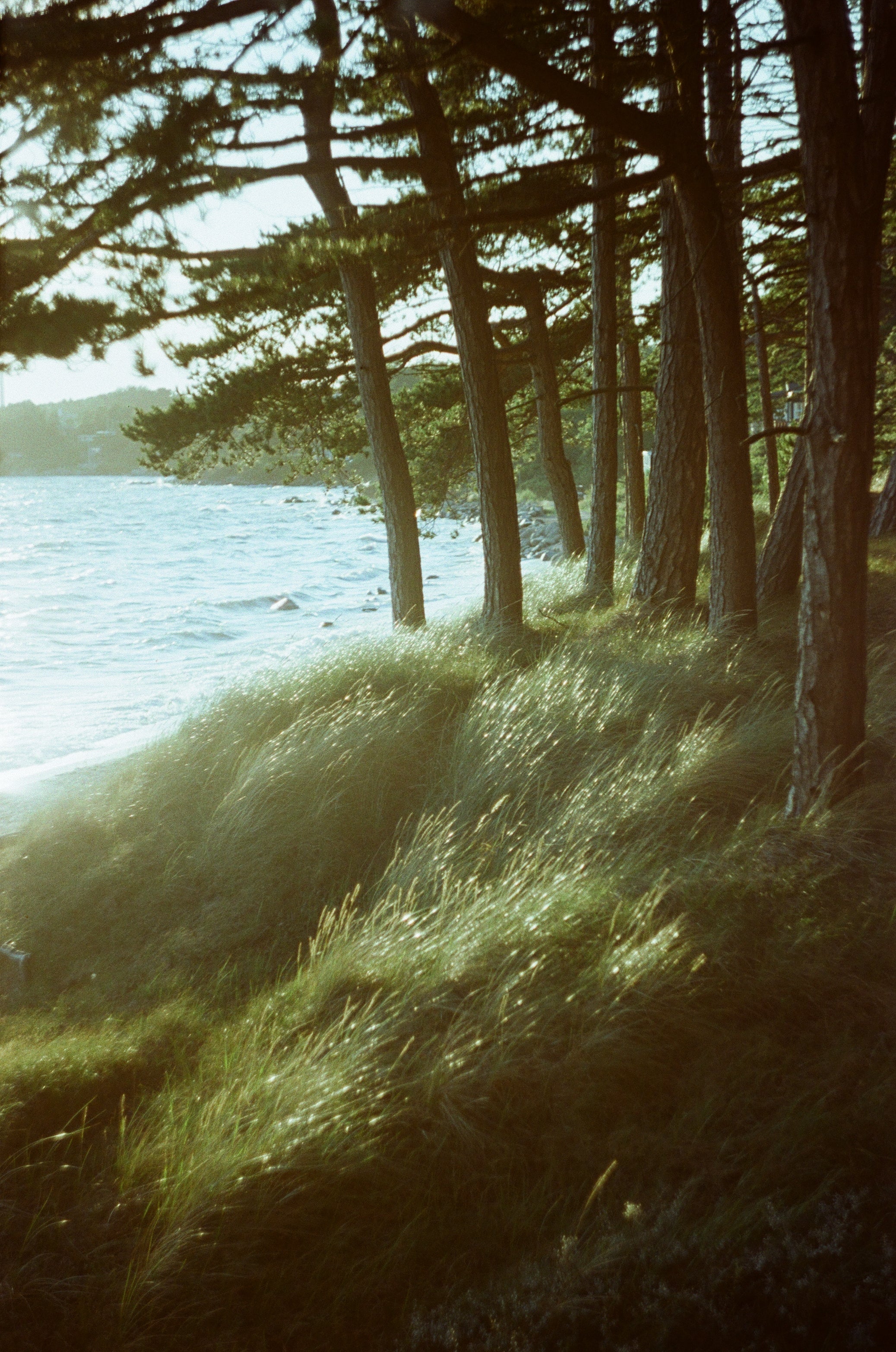 Cinematic rivert scene on color motion picture film