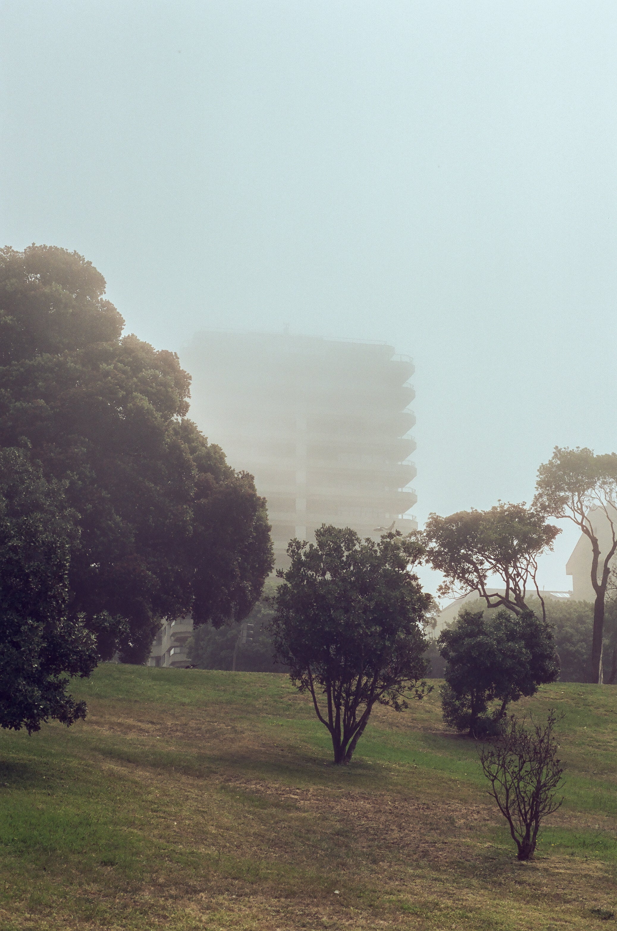 Cinestill XPRO DAYLIGHT 50D 35mm/ 36 exp