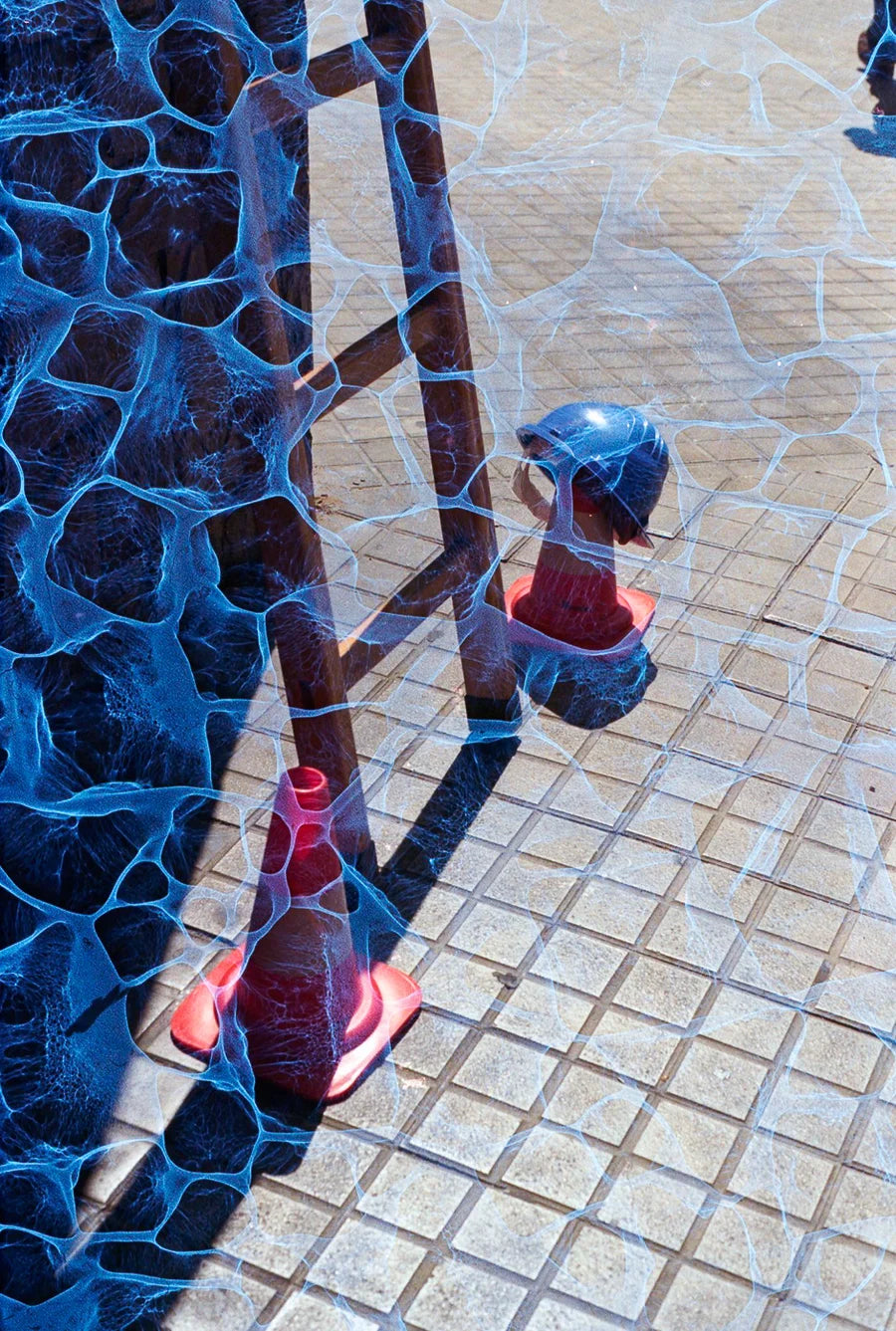 Revolog Plexus 135mm/36 exp 400 ISO