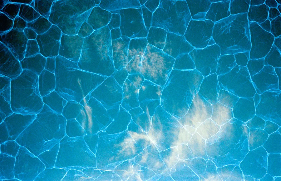 Revolog Plexus 135mm/36 exp 400 ISO