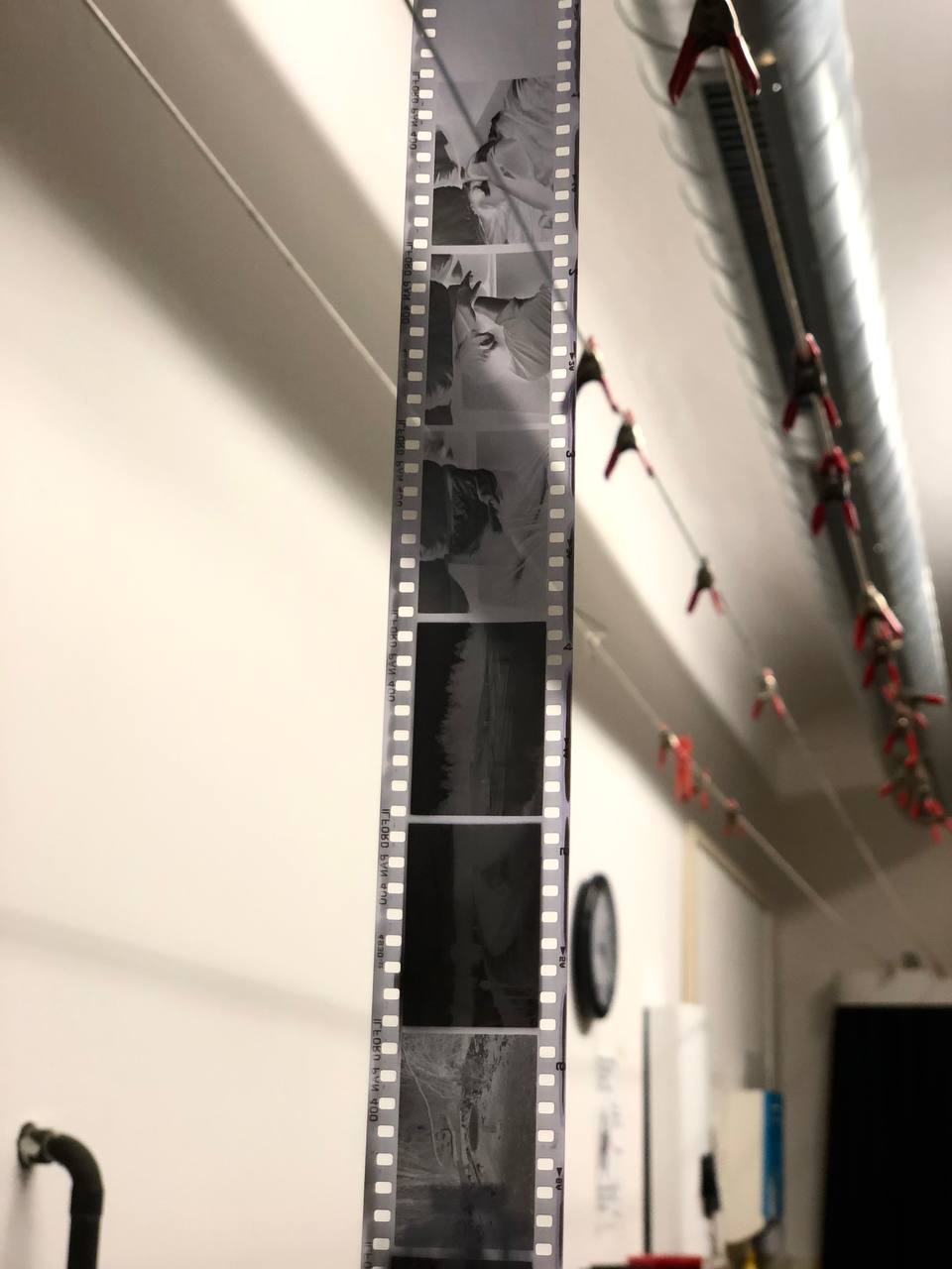 developing black and white film in photo lab