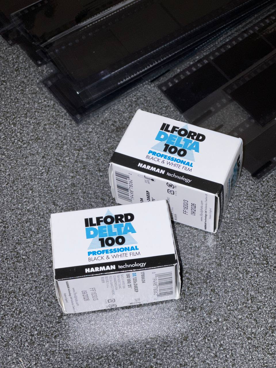 Ilford Delta 100 black and white film at Film Speed Lab