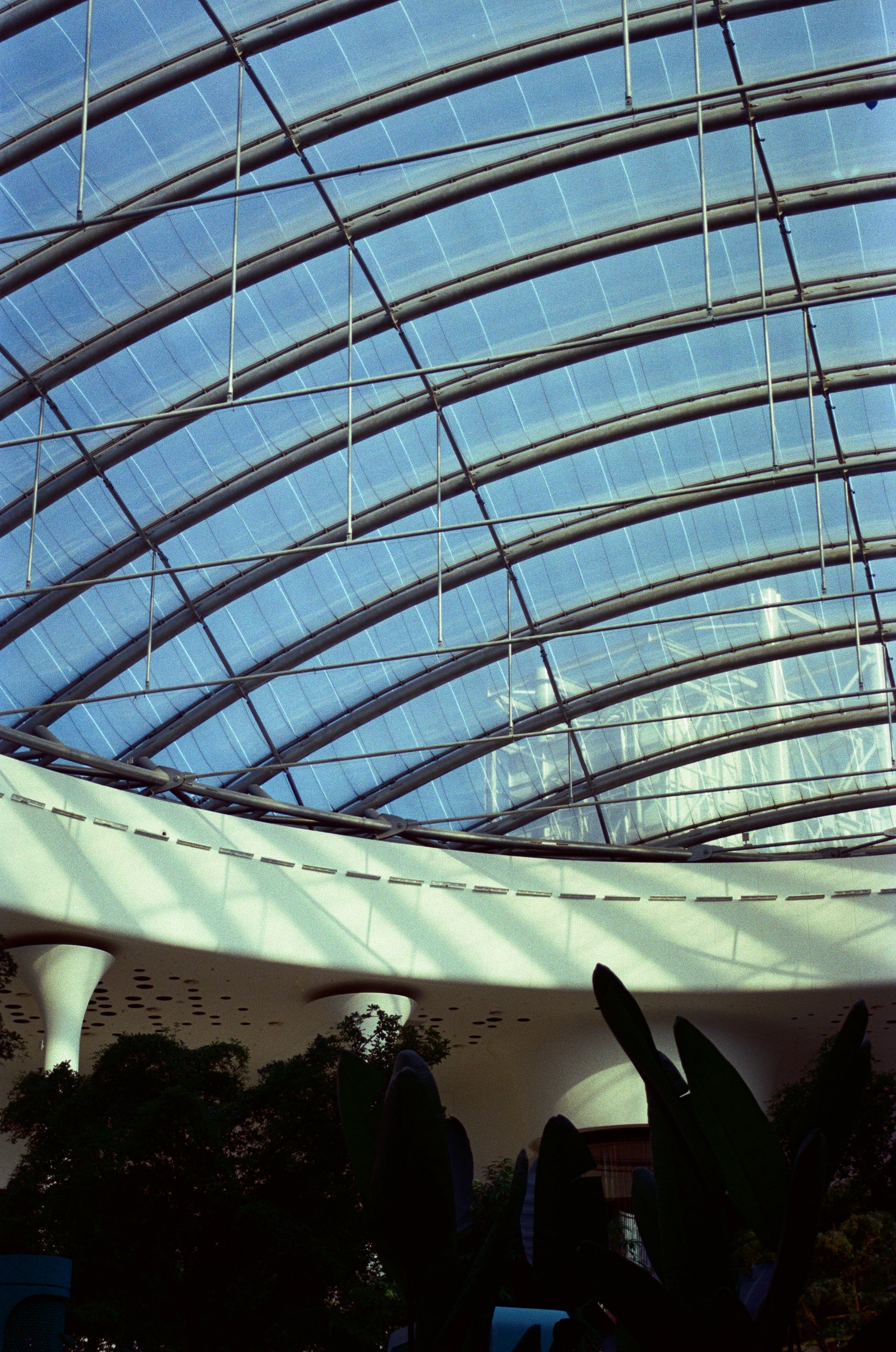 Kodak Vision3 200T Color Negative Film (35mm Roll Film, 36 Exposures)